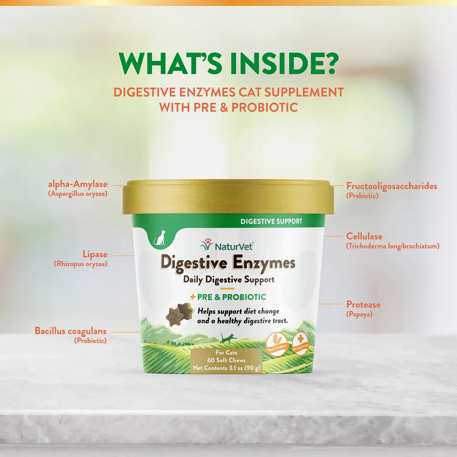 NaturVet Digestive Enzymes Plus Pre and Probiotic Soft Chews for Cats 60 Count 3.1-oz - Image 6
