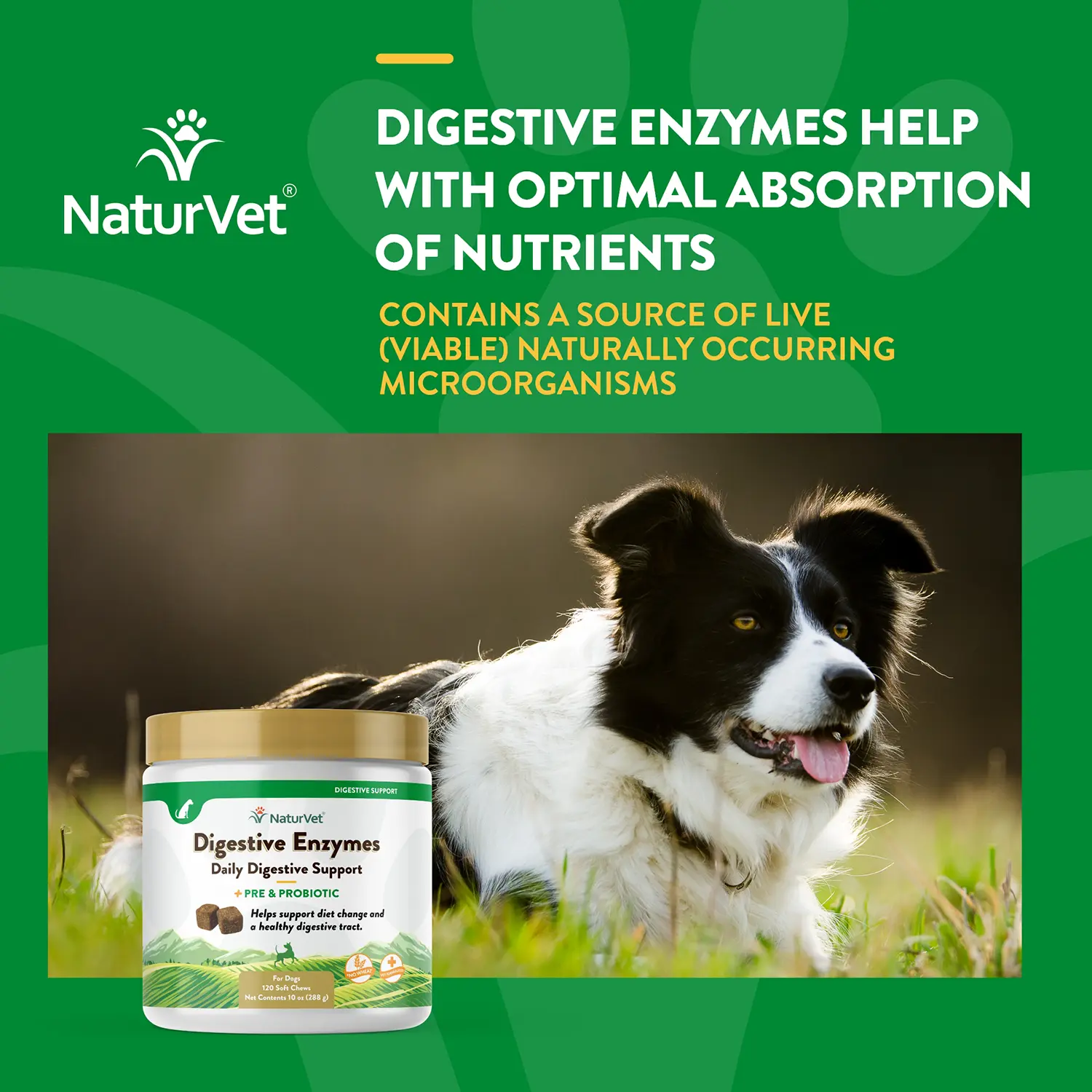 NaturVet Digestive Enzymes Plus Pre and Probiotic Soft Chews for Dogs 120 Count 10-oz - Image 3