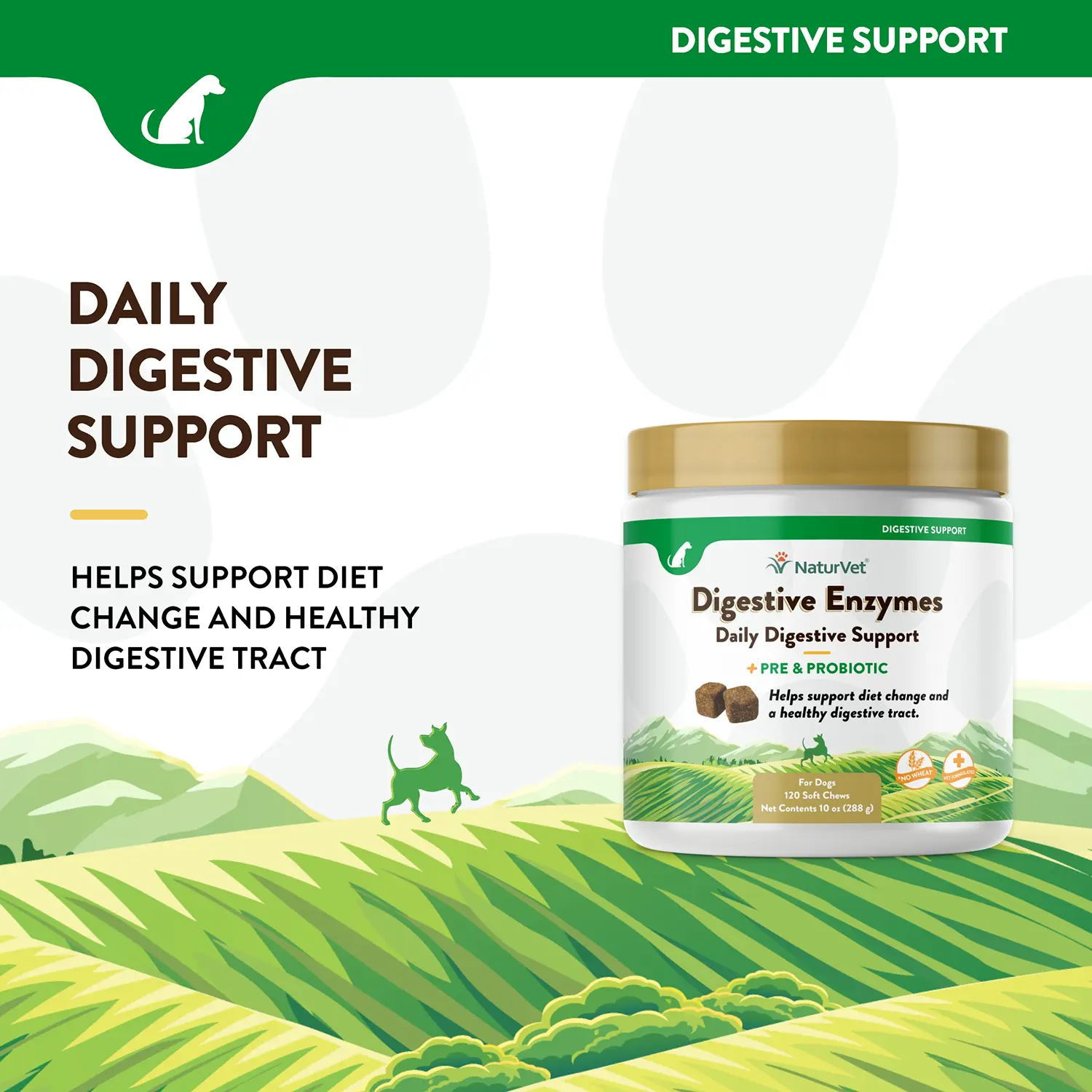 NaturVet Digestive Enzymes Plus Pre and Probiotic Soft Chews for Dogs 120 Count 10-oz - Image 4