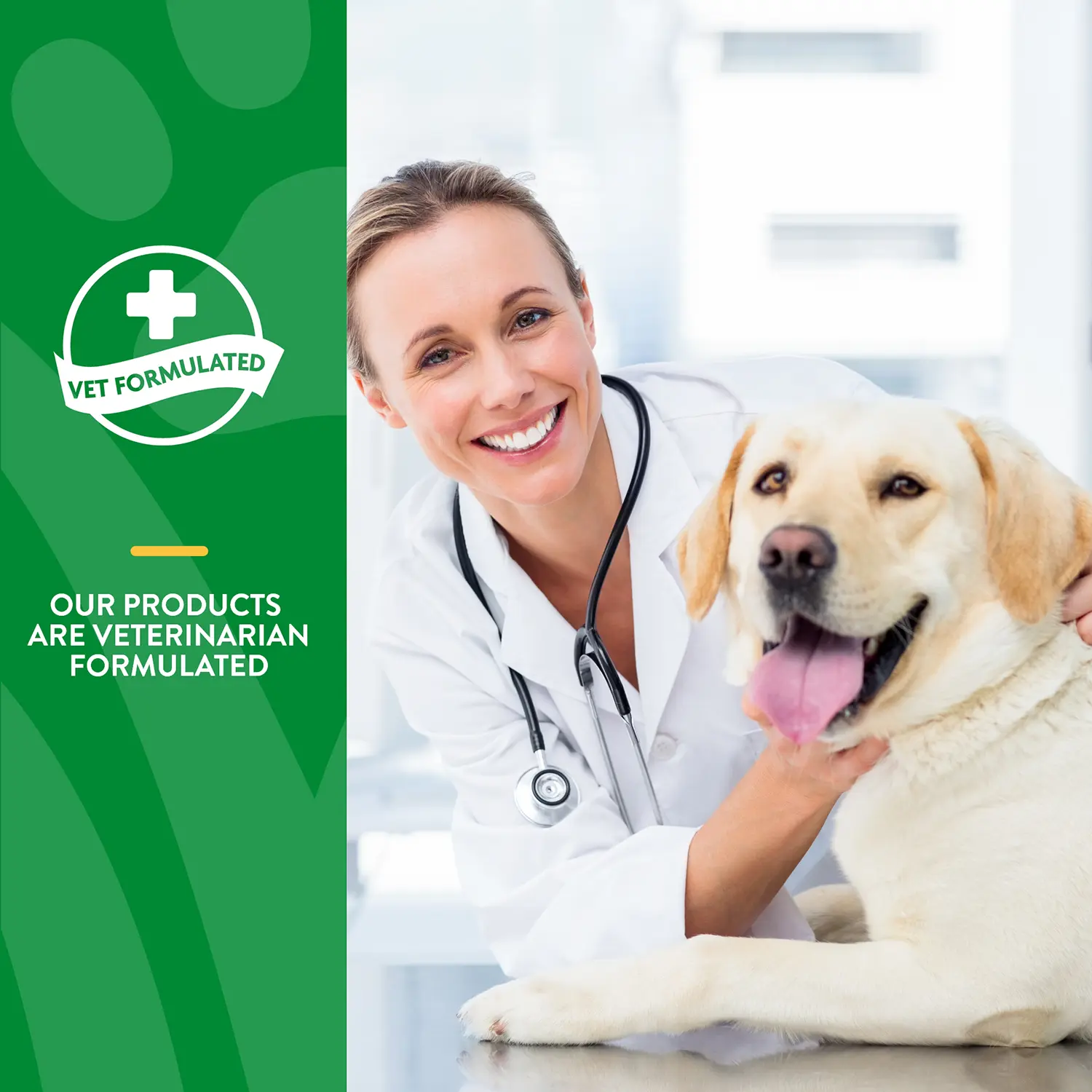NaturVet Digestive Enzymes Plus Pre and Probiotic Soft Chews for Dogs 120 Count 10-oz - Image 5