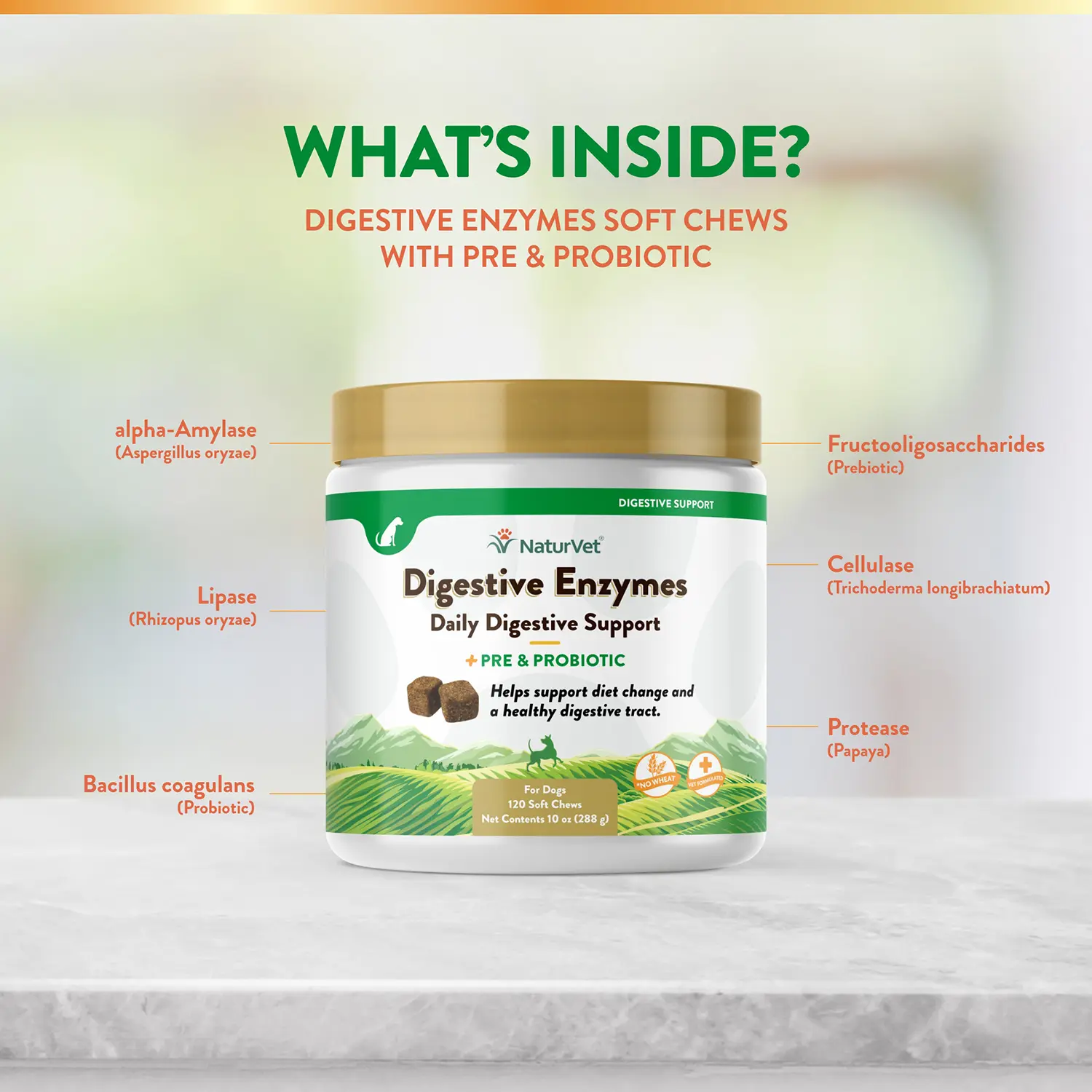 NaturVet Digestive Enzymes Plus Pre and Probiotic Soft Chews for Dogs 120 Count 10-oz - Image 6