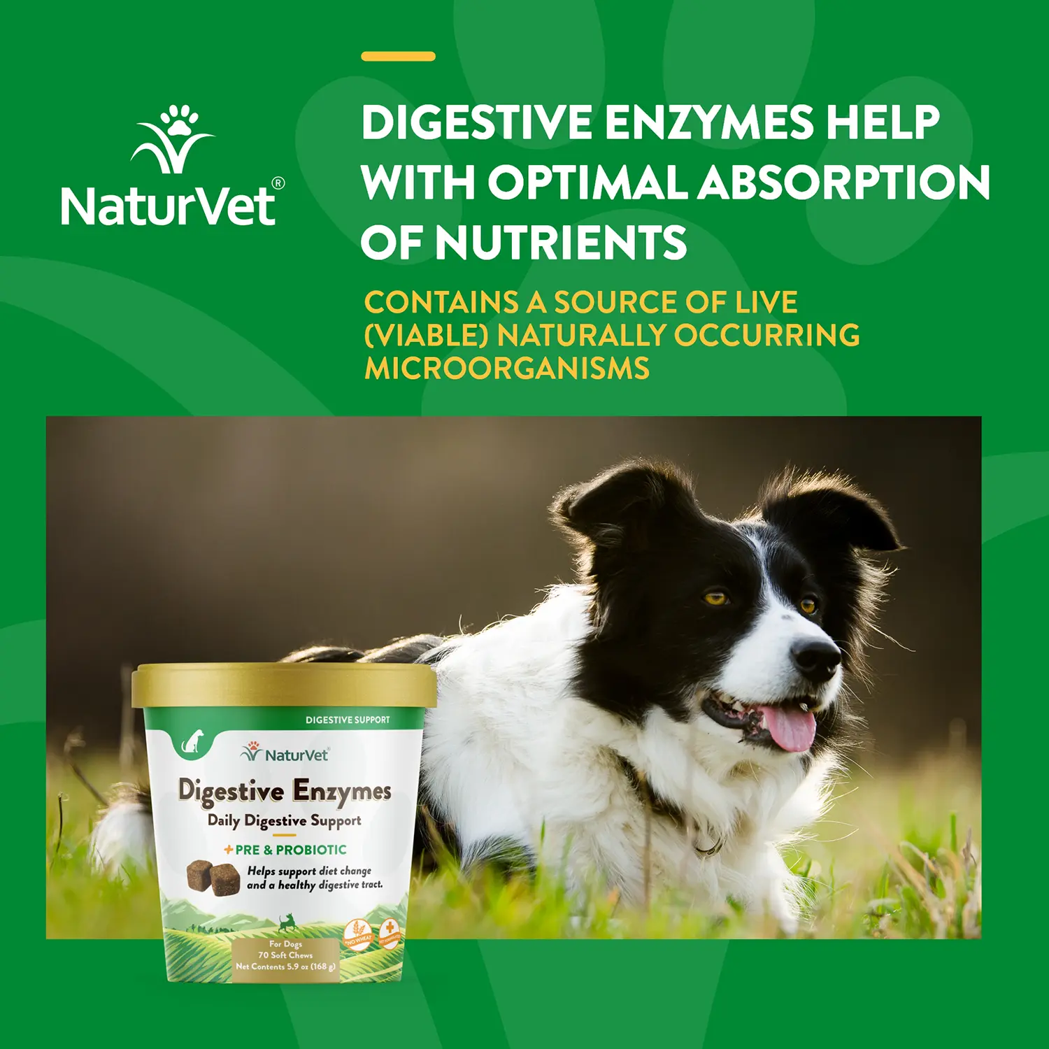 NaturVet Digestive Enzymes Plus Pre and Probiotic Soft Chews for Dogs 70 Count 5.9-oz - Image 3