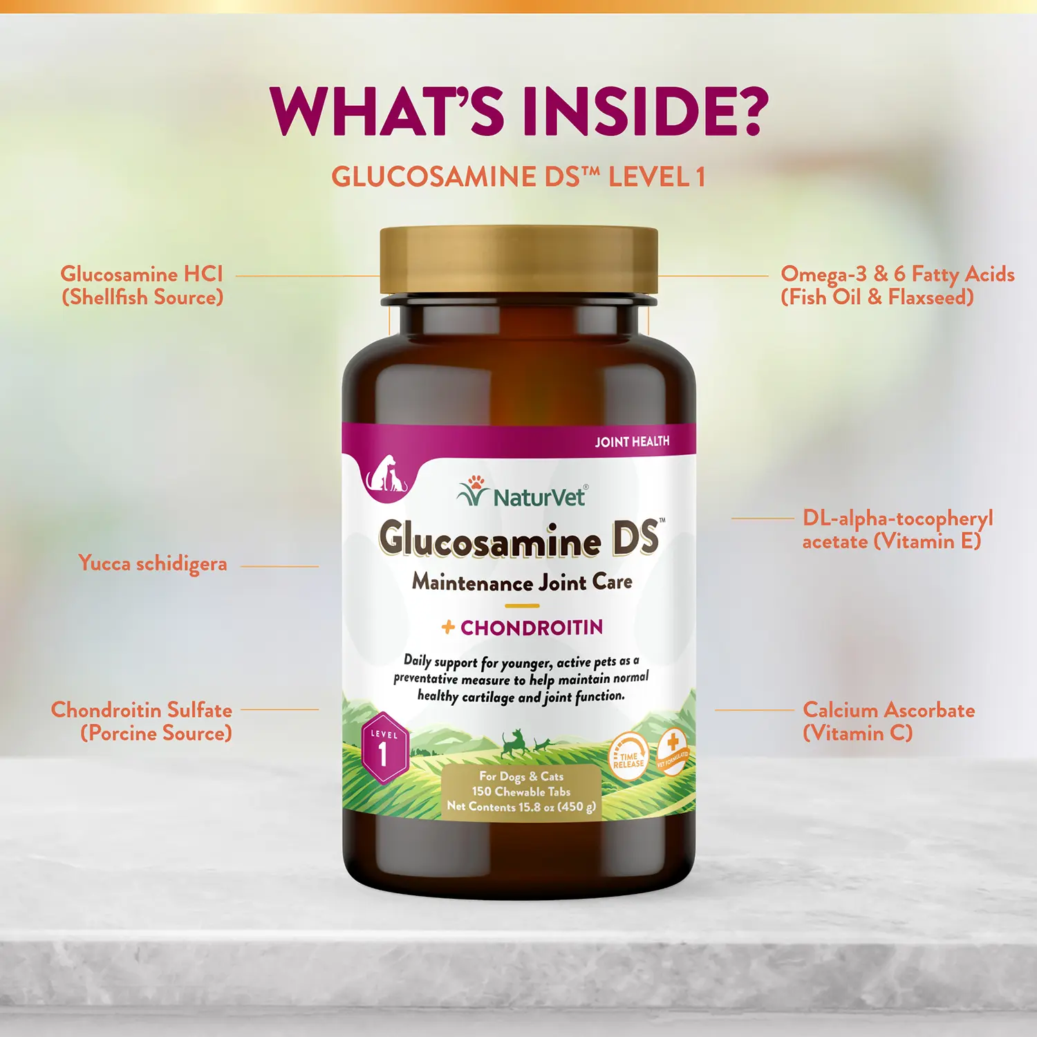 NaturVet Glucosamine DS with Chondroitin Time Release Chewable Tablets for Dogs & Cats 150 Count 15.8-oz - Image 7