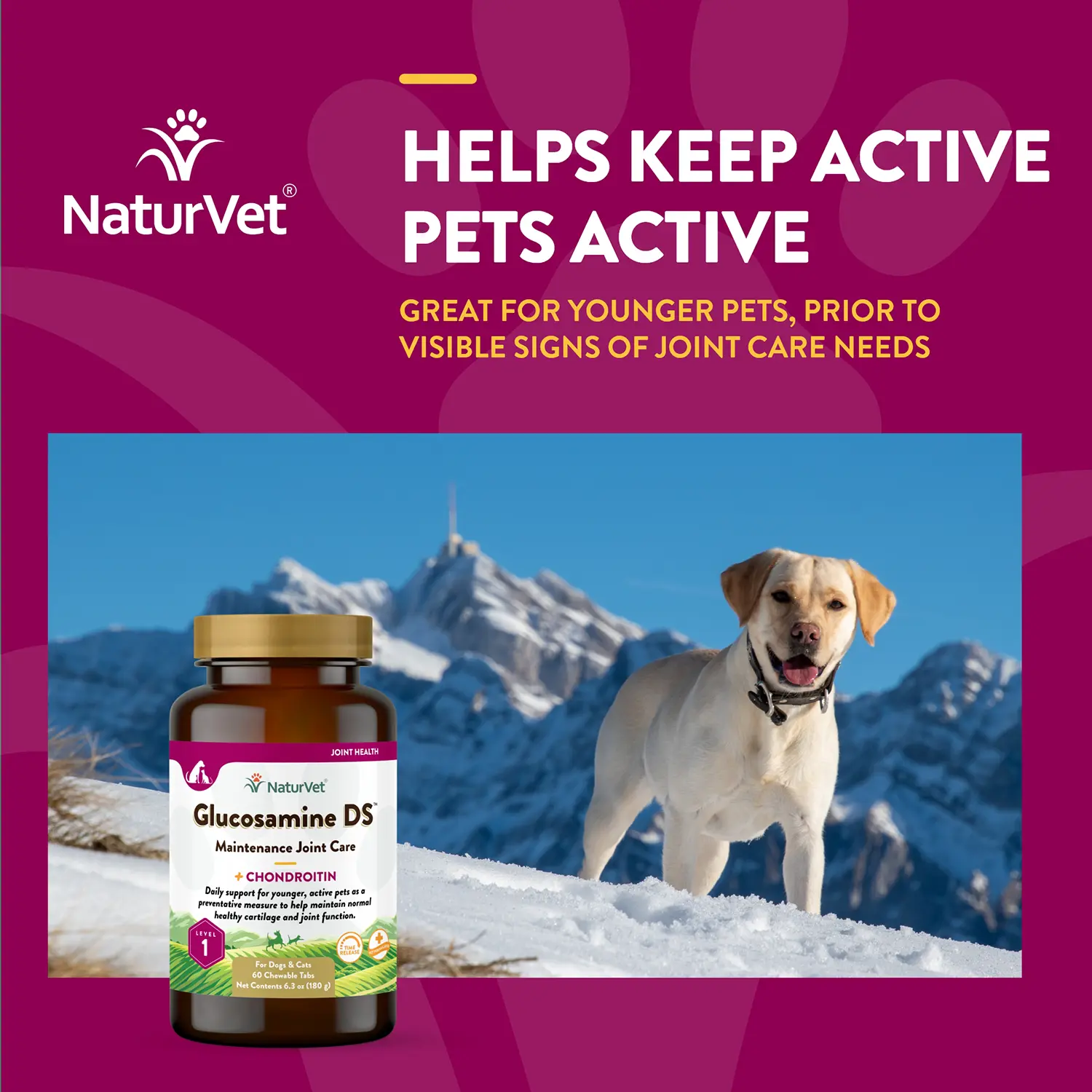 NaturVet Glucosamine DS with Chondroitin Time Release Chewable Tablets for Dogs & Cats 60 Count 6.3-oz - Image 3