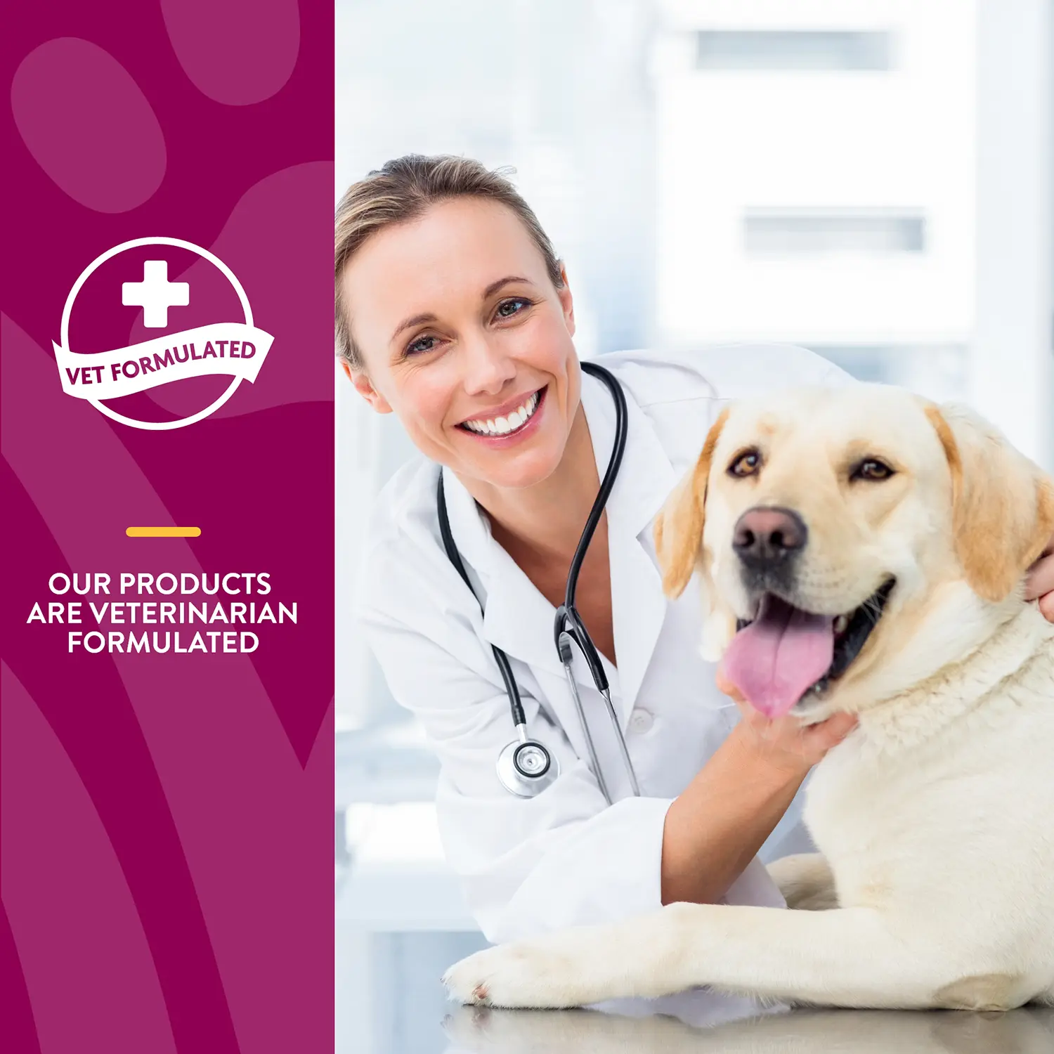 NaturVet Glucosamine DS with Chondroitin Time Release Chewable Tablets for Dogs & Cats 60 Count 6.3-oz - Image 5