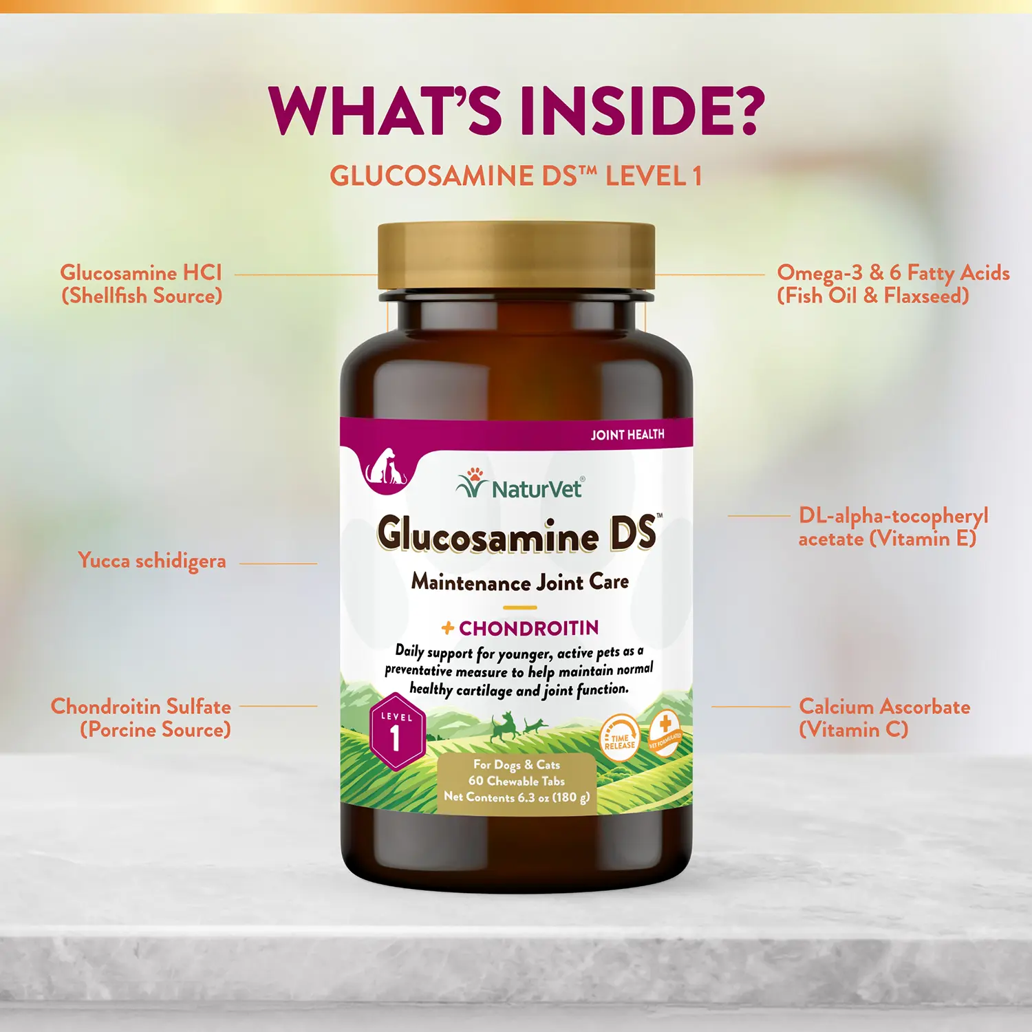 NaturVet Glucosamine DS with Chondroitin Time Release Chewable Tablets for Dogs & Cats 60 Count 6.3-oz - Image 6