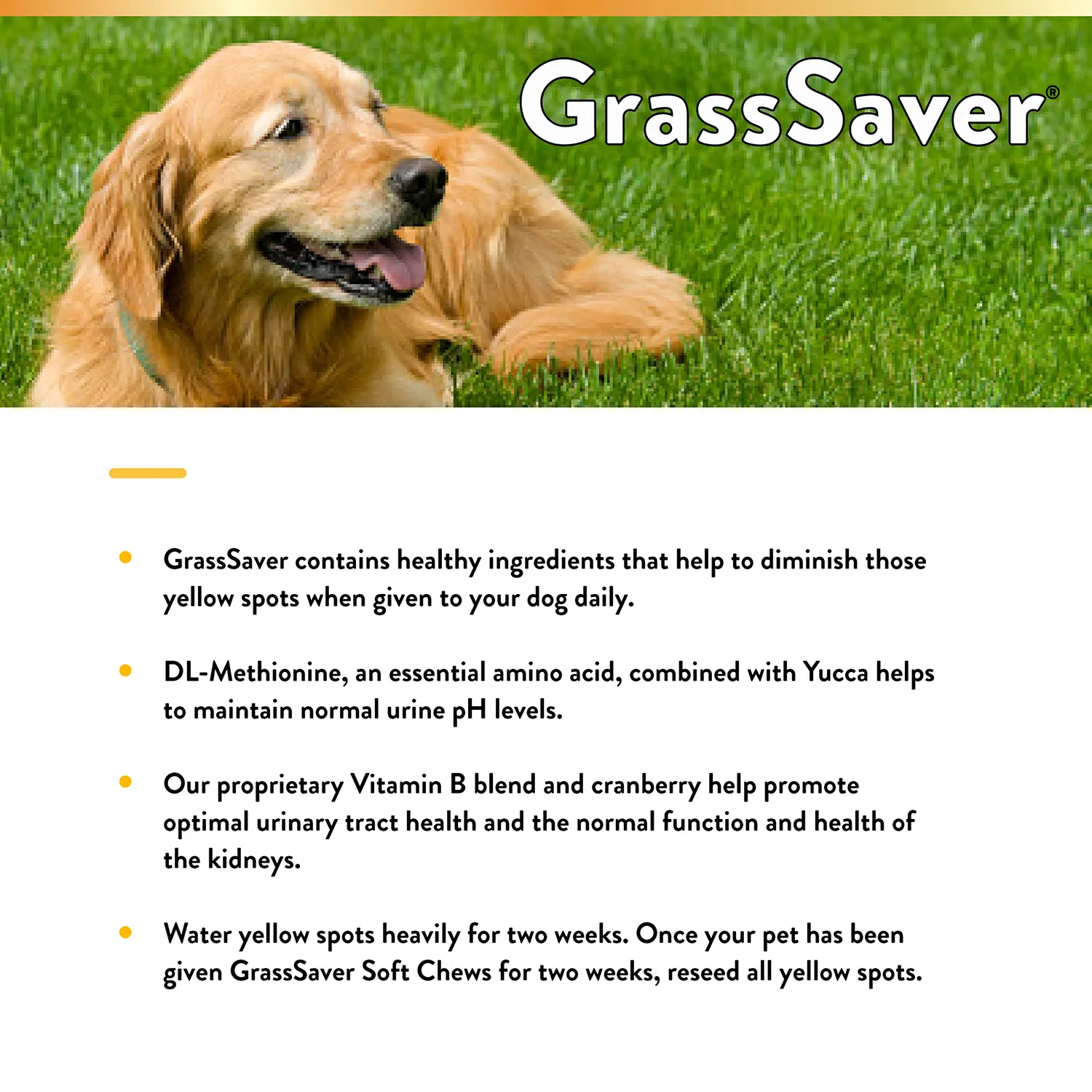 NaturVet GrassSaver Soft Chews for Dogs 120 Count 8.46-oz - Image 4