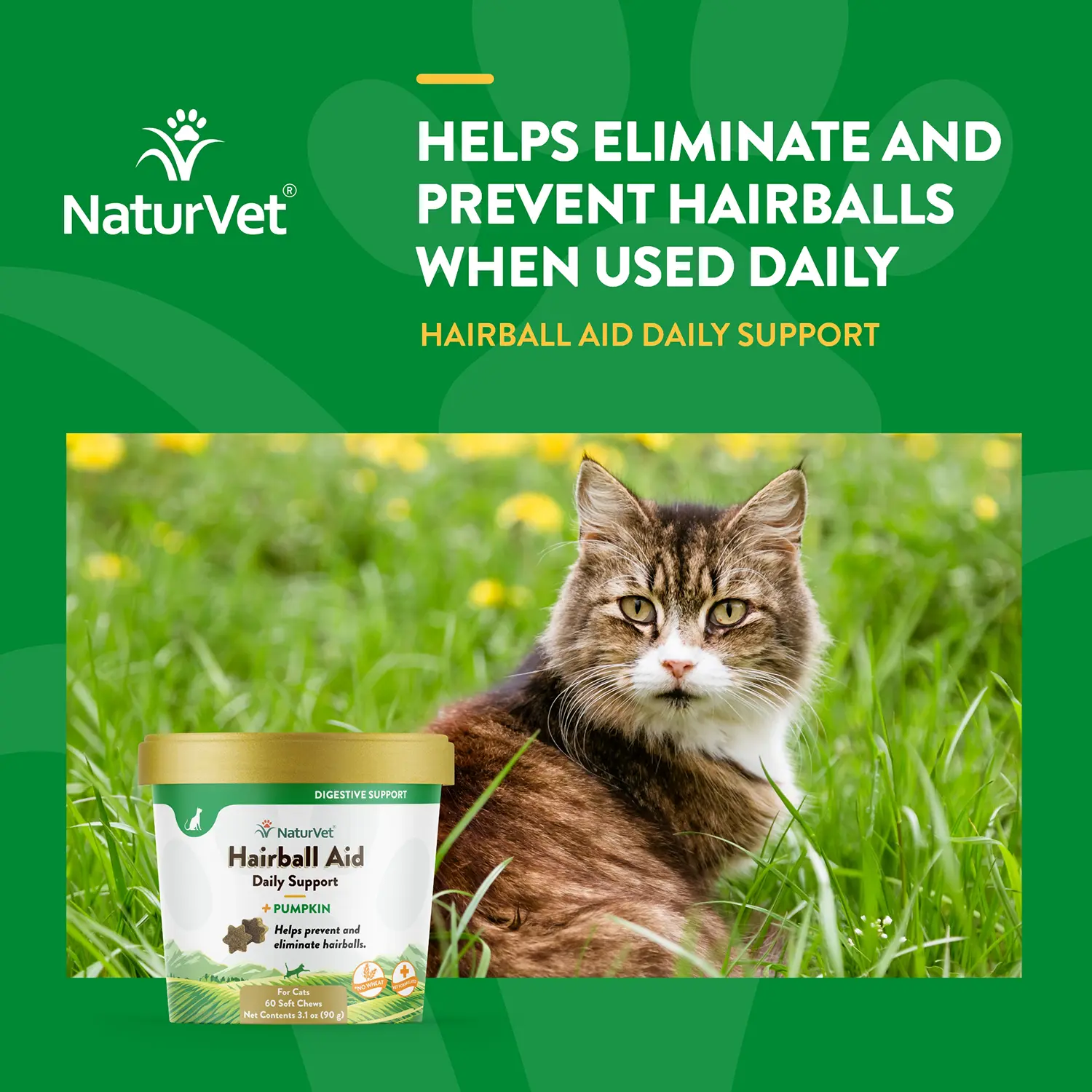NaturVet Hairball Aid Plus Pumpkin Soft Chews for Cats 60 Count 3.1-oz - Image 2