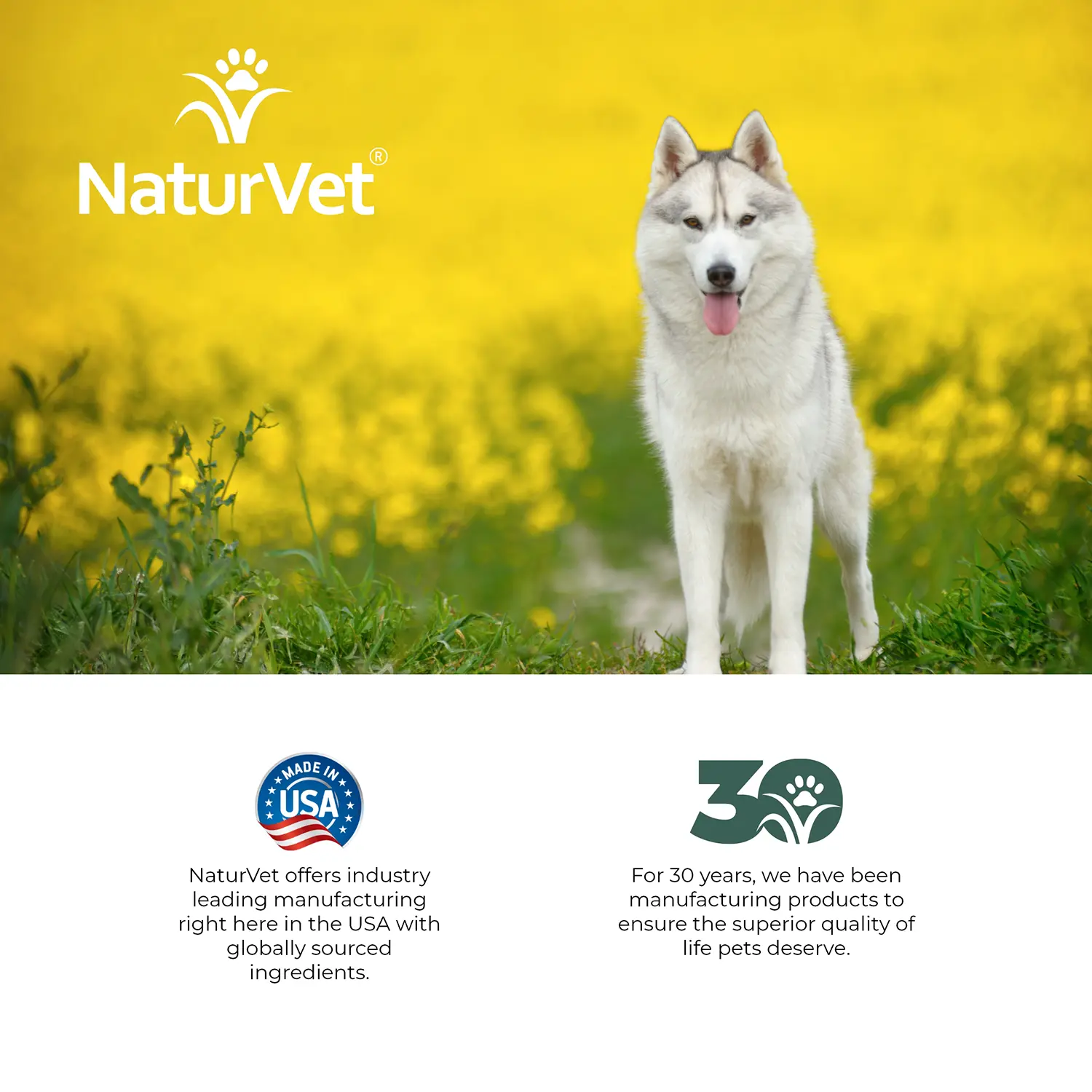NaturVet Hemp Deodorizing Shampoo for Dogs 16-oz - Image 8