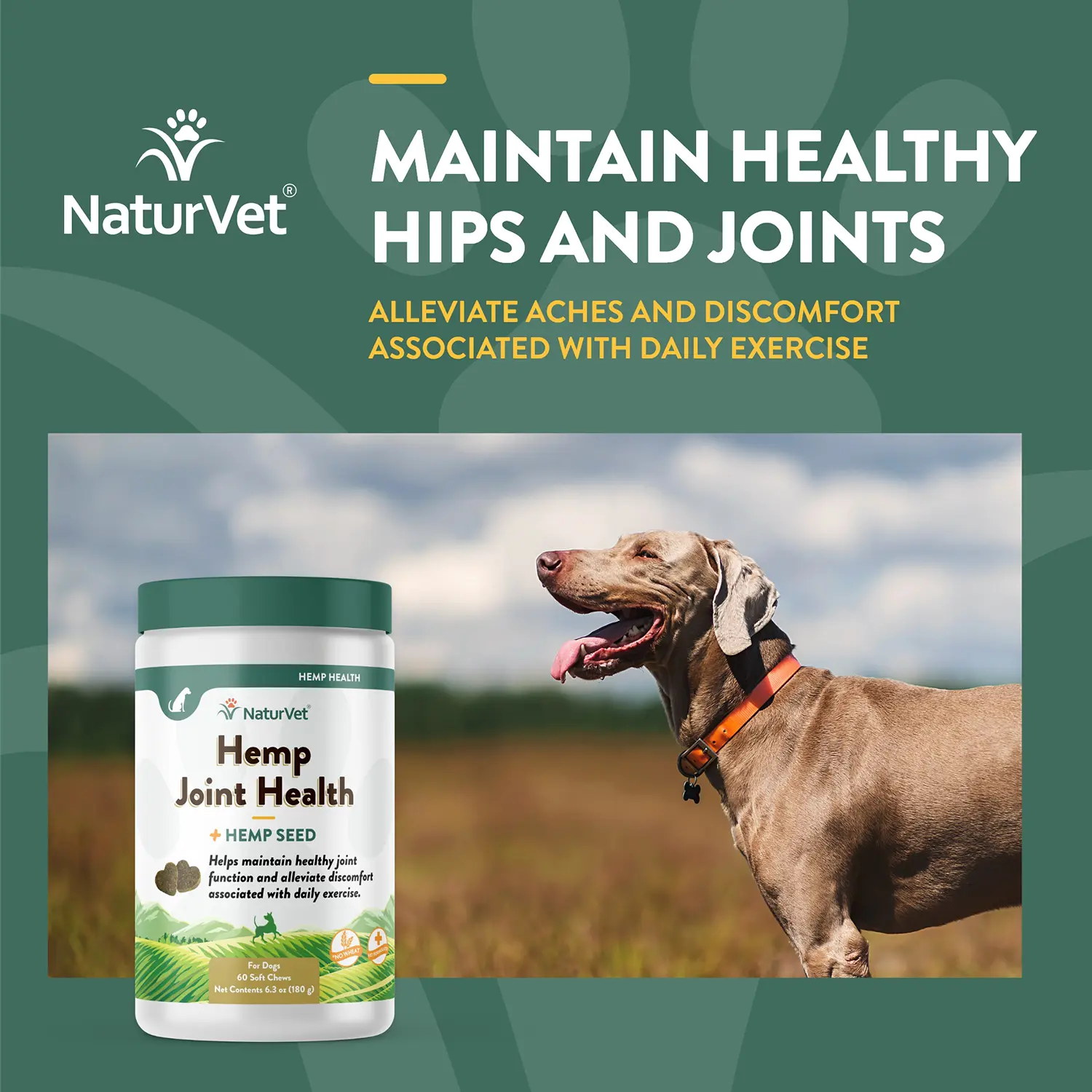 NaturVet Hemp Joint Health Soft Chews for Dogs 60 Count 6.3-oz - Image 3
