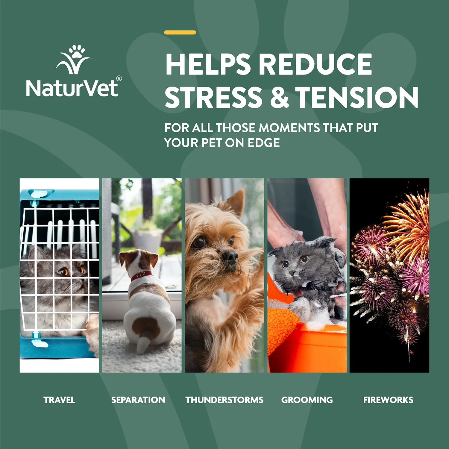 NaturVet Hemp Quiet Moments Calming Drops for Dogs & Cats 1-oz - Image 3