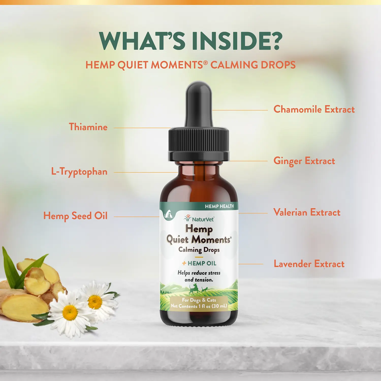 NaturVet Hemp Quiet Moments Calming Drops for Dogs & Cats 1-oz - Image 7