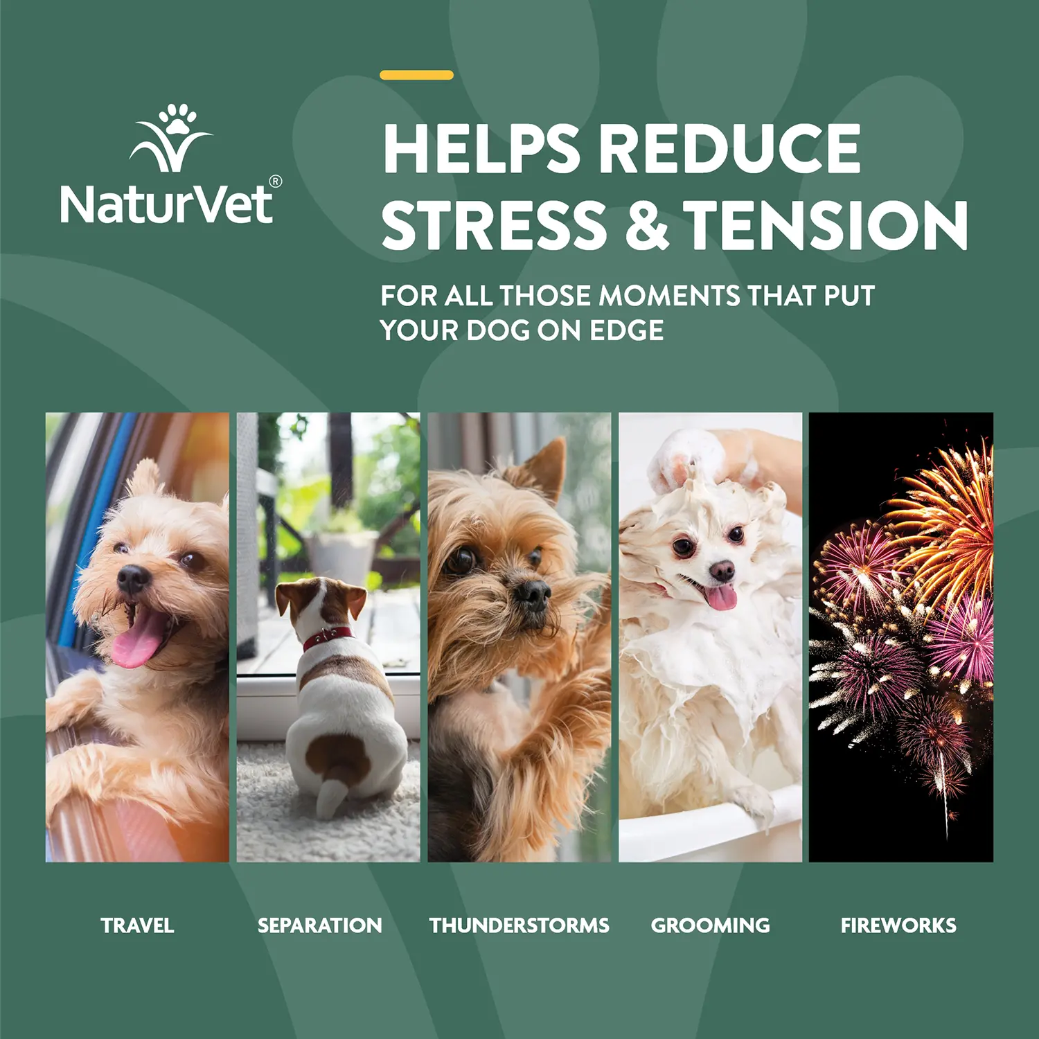 NaturVet Hemp Quiet Moments Soft Chews for Dogs 180 Count 19-oz - Image 3