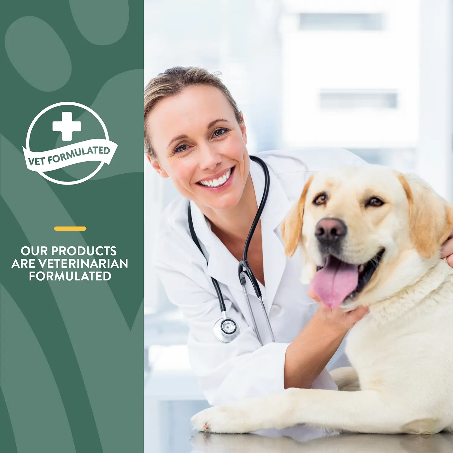 NaturVet Hemp Quiet Moments Soft Chews for Dogs 60 Count 6.3-oz - Image 5