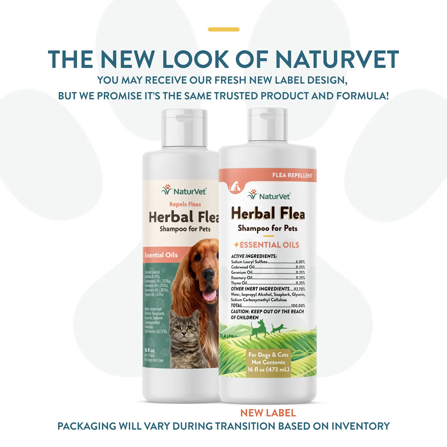 NaturVet Herbal Flea Shampoo w/Essential Oils for Dogs & Cats 16-oz - Image 2