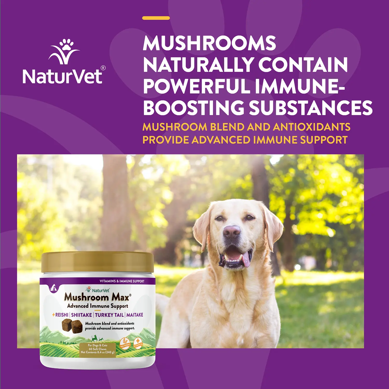 NaturVet Mushroom Max Advanced Immune Support Soft Chews for Dogs & Cats 60 Count 8.4-oz - Image 5