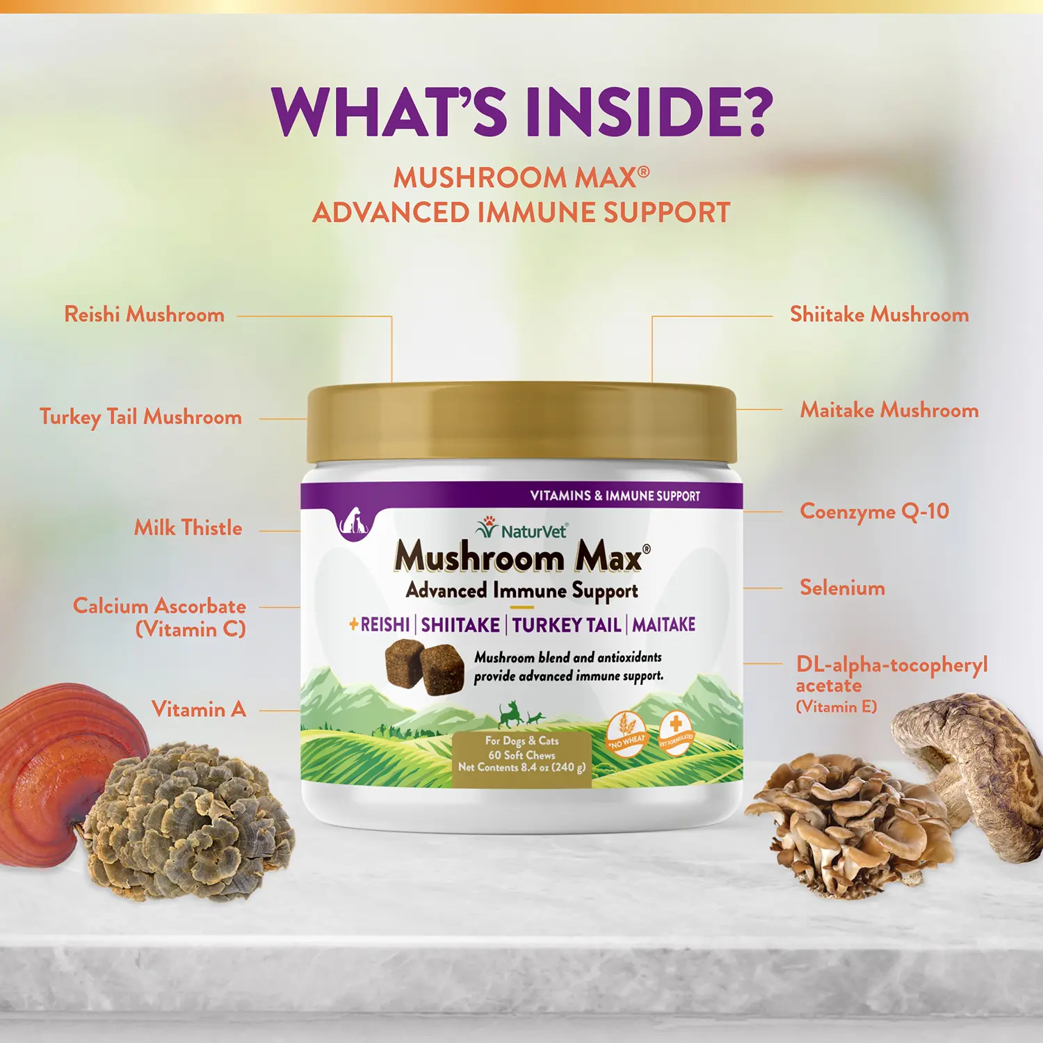 NaturVet Mushroom Max Advanced Immune Support Soft Chews for Dogs & Cats 60 Count 8.4-oz - Image 7