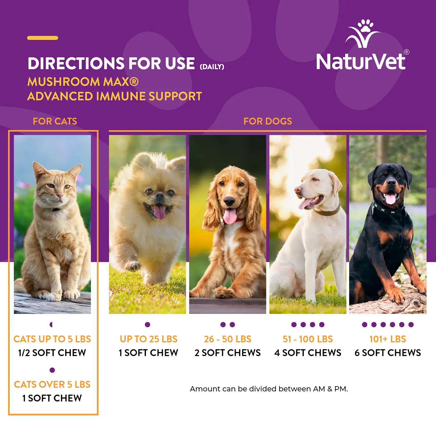 NaturVet Mushroom Max Advanced Immune Support Soft Chews for Dogs & Cats 60 Count 8.4-oz - Image 8