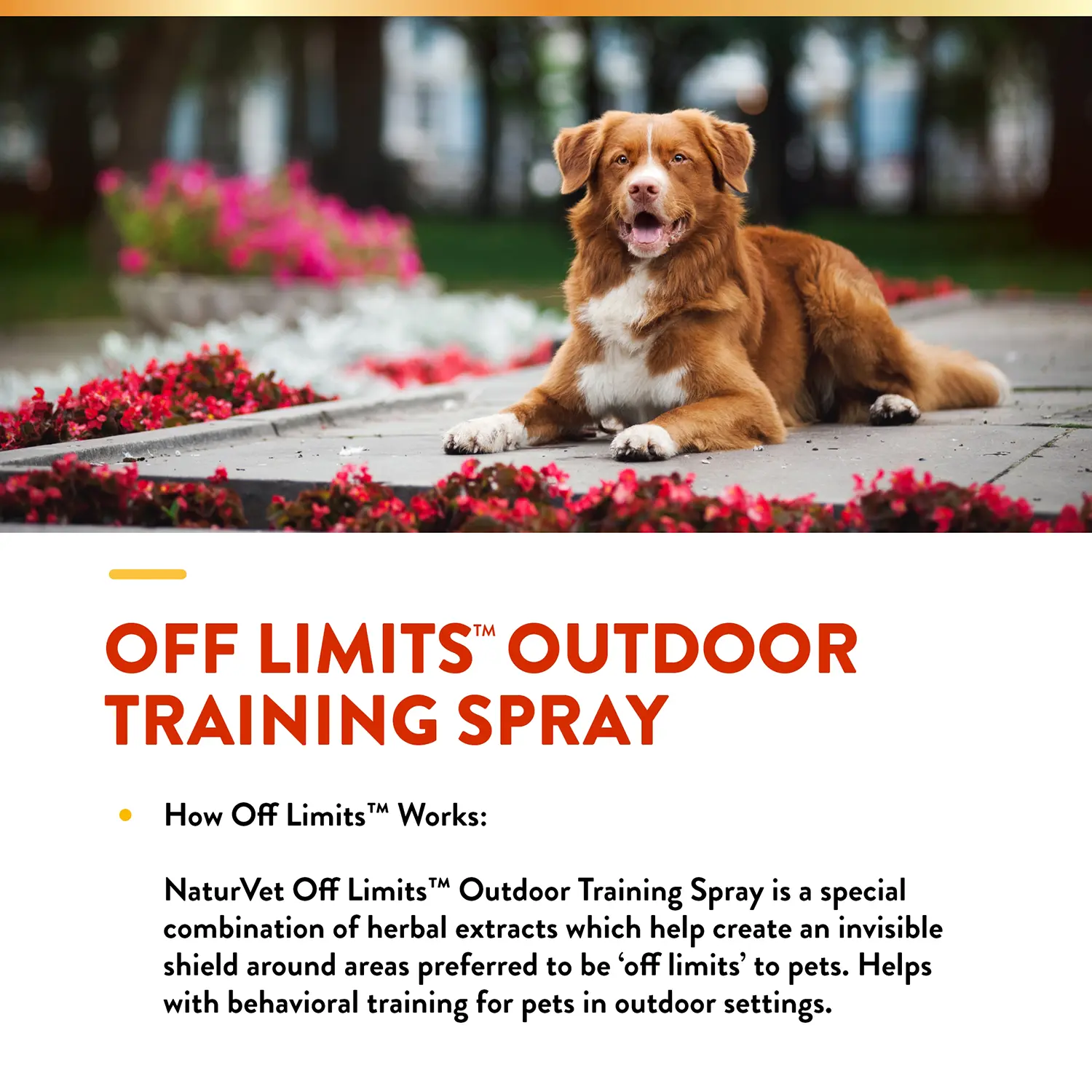 NaturVet Off Limits Training Spray for Dogs & Cats 32-oz - Image 4