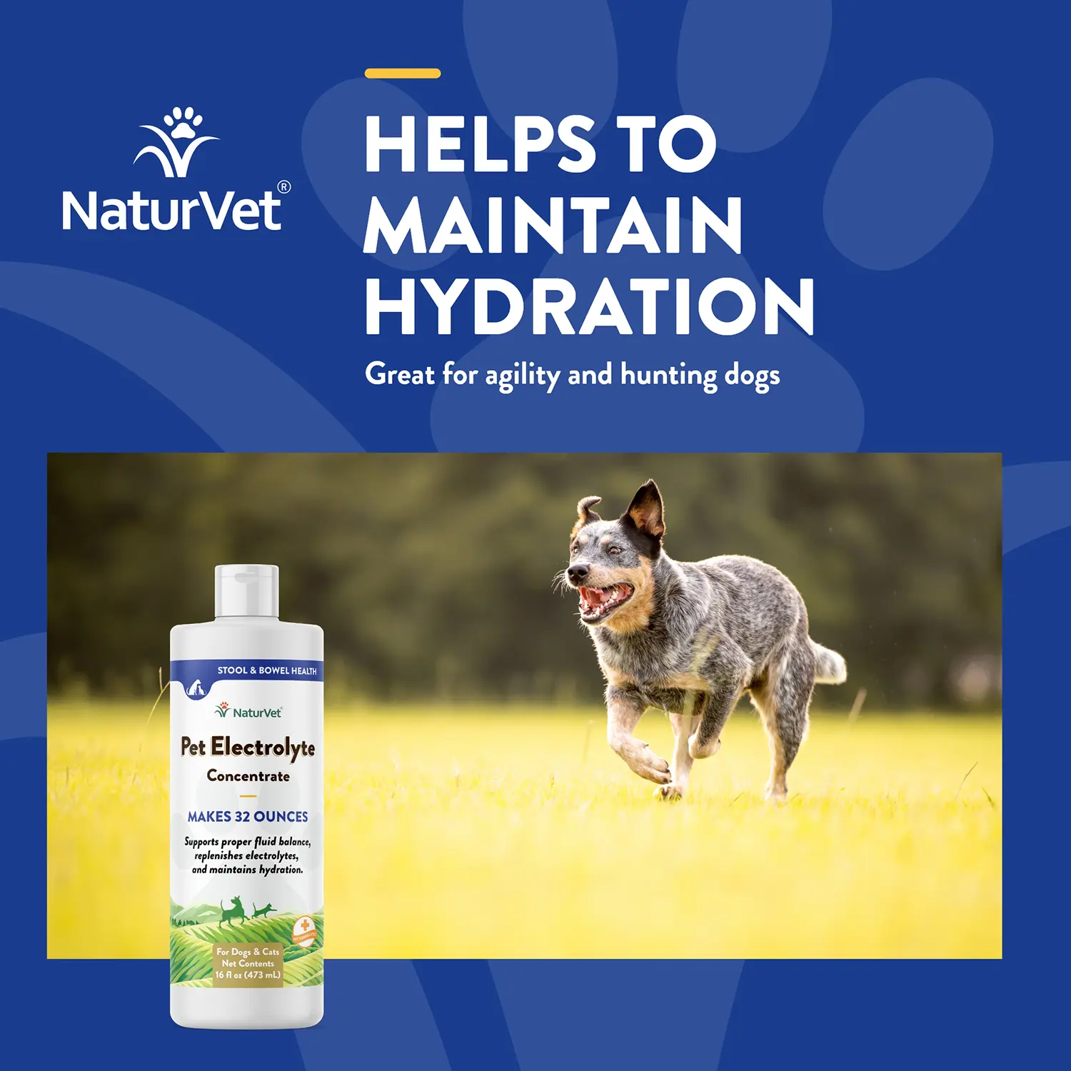 NaturVet Pet Electrolyte Concentrate for Dogs & Cats 16-oz - Image 4