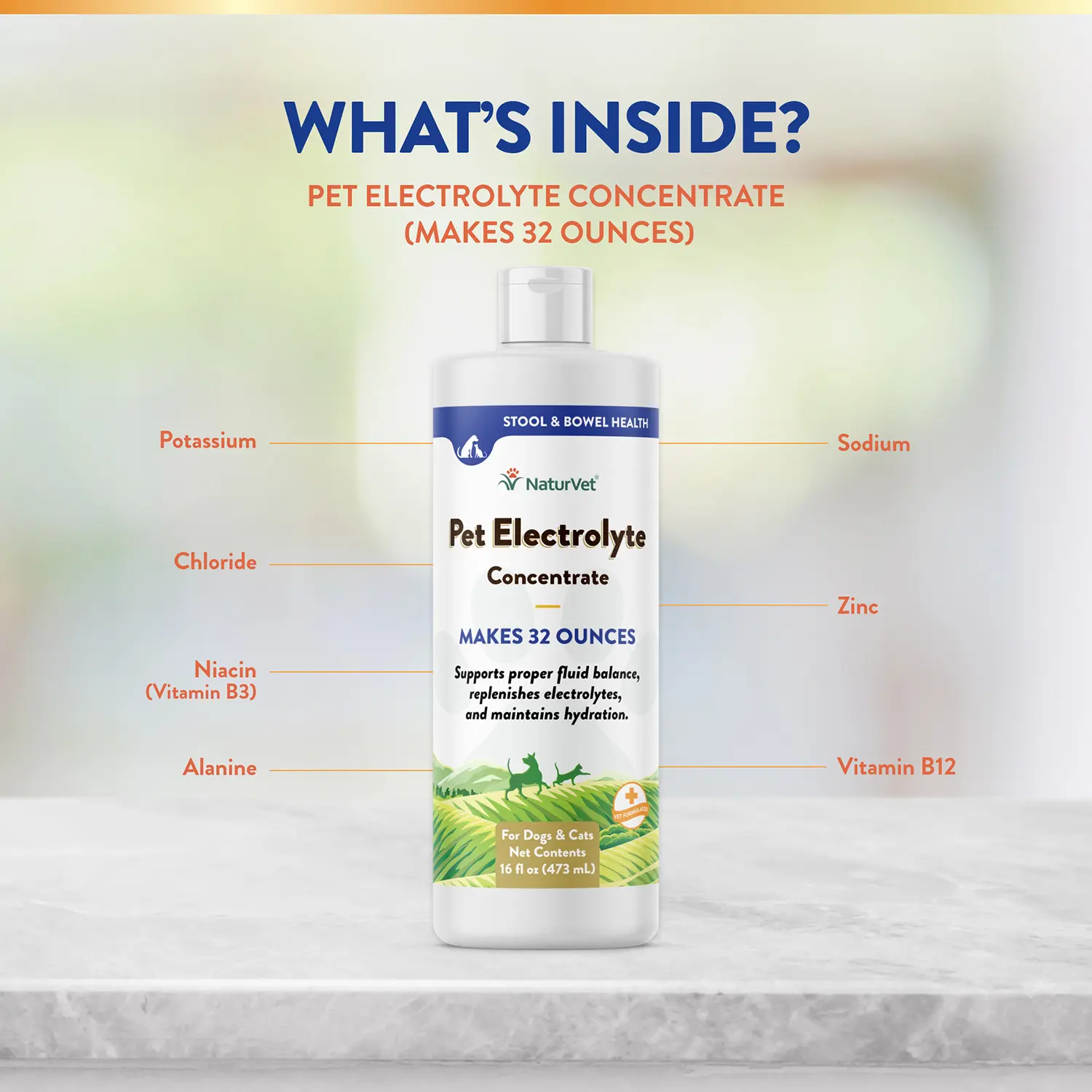 NaturVet Pet Electrolyte Concentrate for Dogs & Cats 16-oz - Image 6
