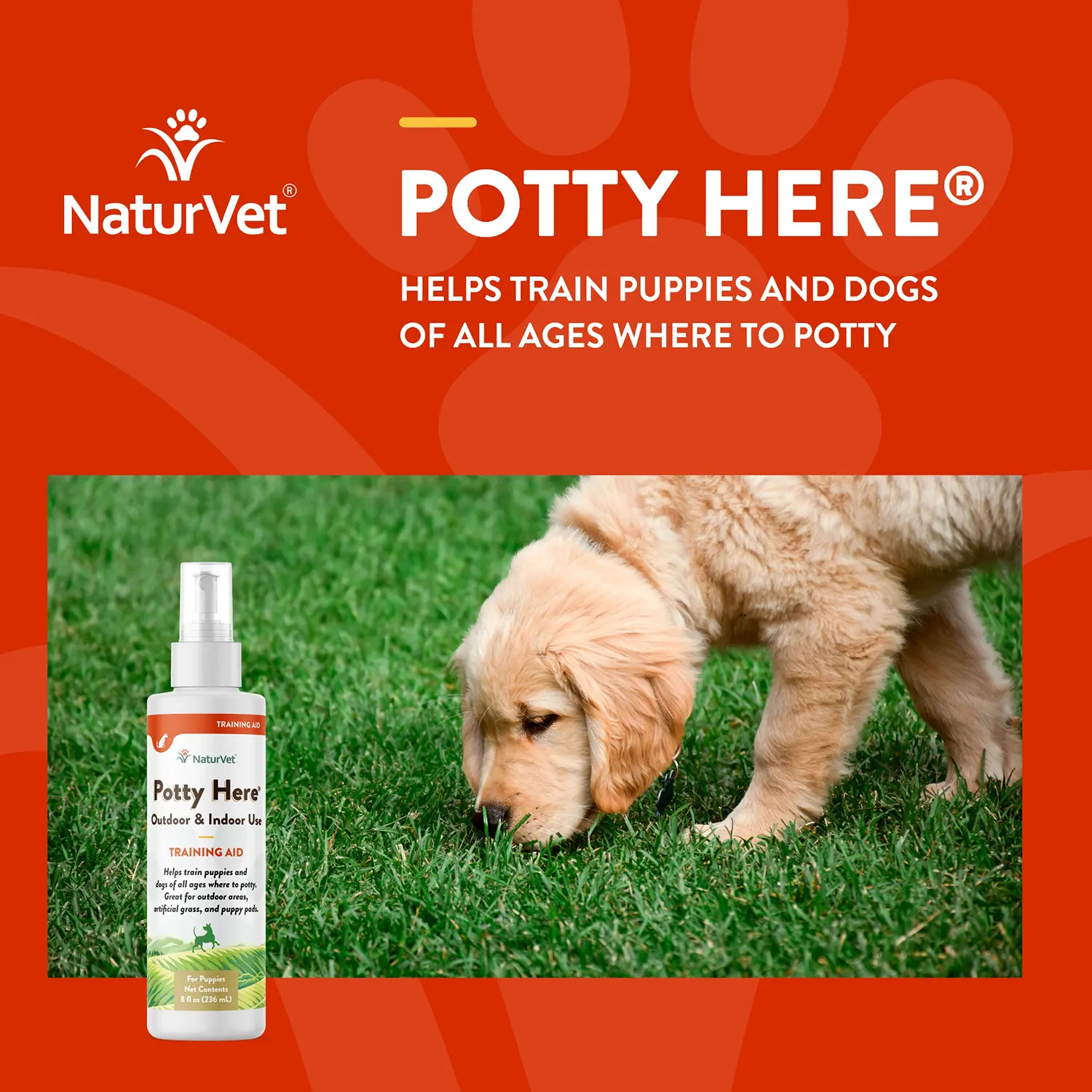 NaturVet Potty Here Training Aid Spray for Puppies 8-oz - Image 4