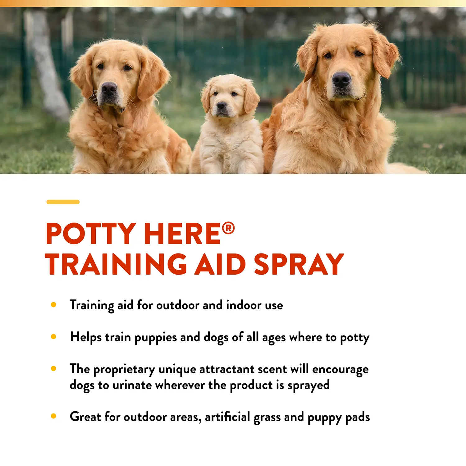 NaturVet Potty Here Training Aid Spray for Puppies 8-oz - Image 6