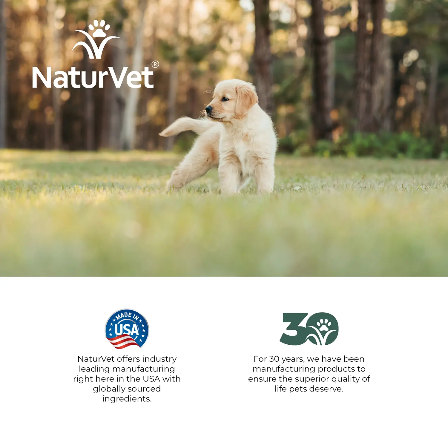 NaturVet Potty Here Training Aid Spray for Puppies 8-oz - Image 8