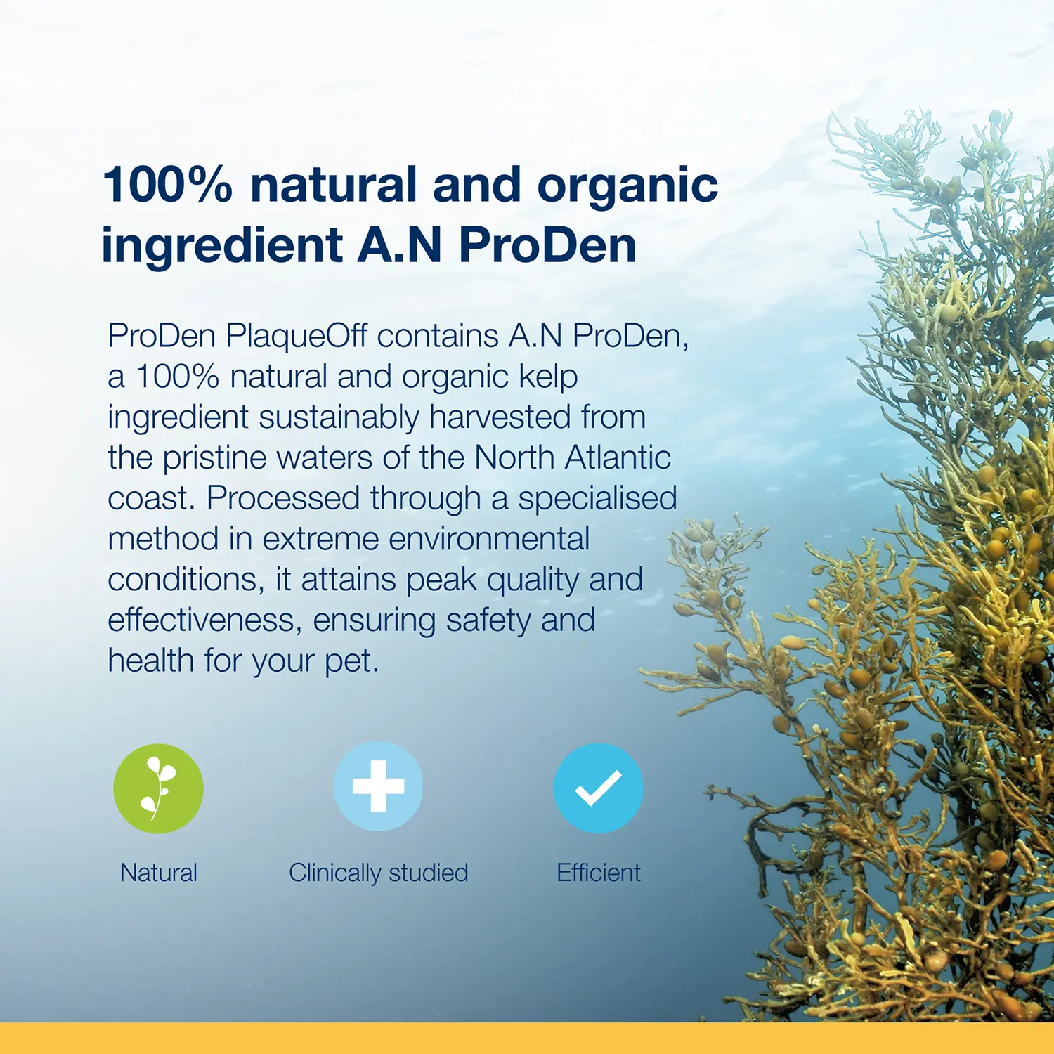 NaturVet Proden PlaqueOff Powder for Dogs 60g - Image 7