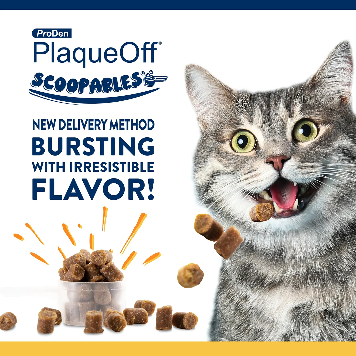 NaturVet ProDen PlaqueOff Scoopables Cat Dental Treats 45 Count 5.5-oz - Image 8