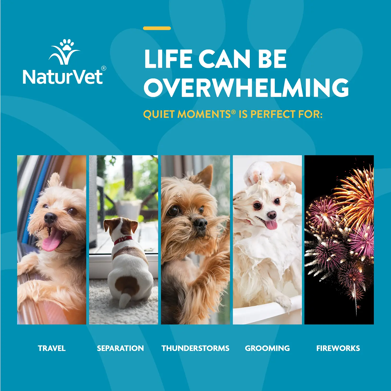 NaturVet Quiet Moments Calming Aid Plus Melatonin Soft Chews for Dogs 70 Count 5.4-oz - Image 2