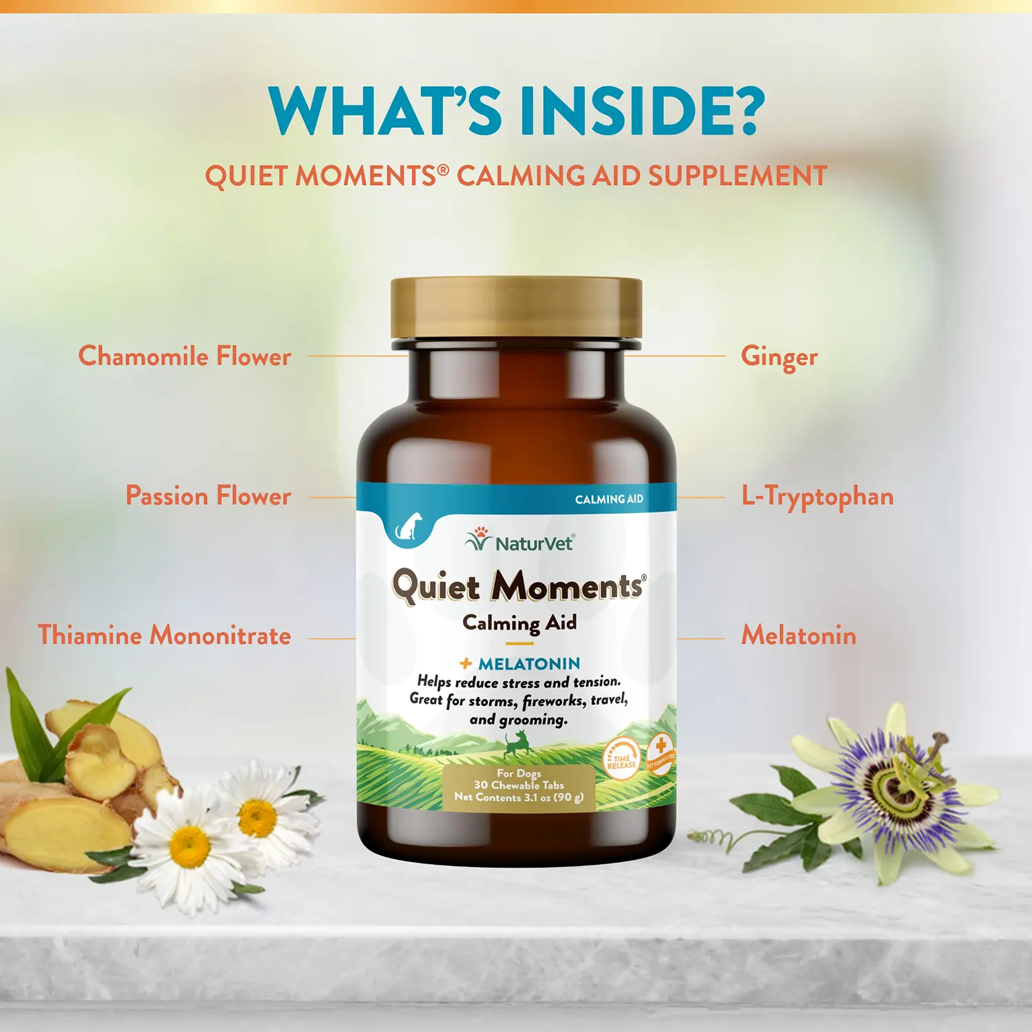 NaturVet Quiet Moments Time Release Tasty Chewable Tablets for Dogs 30 Count 3.1-oz - Image 6