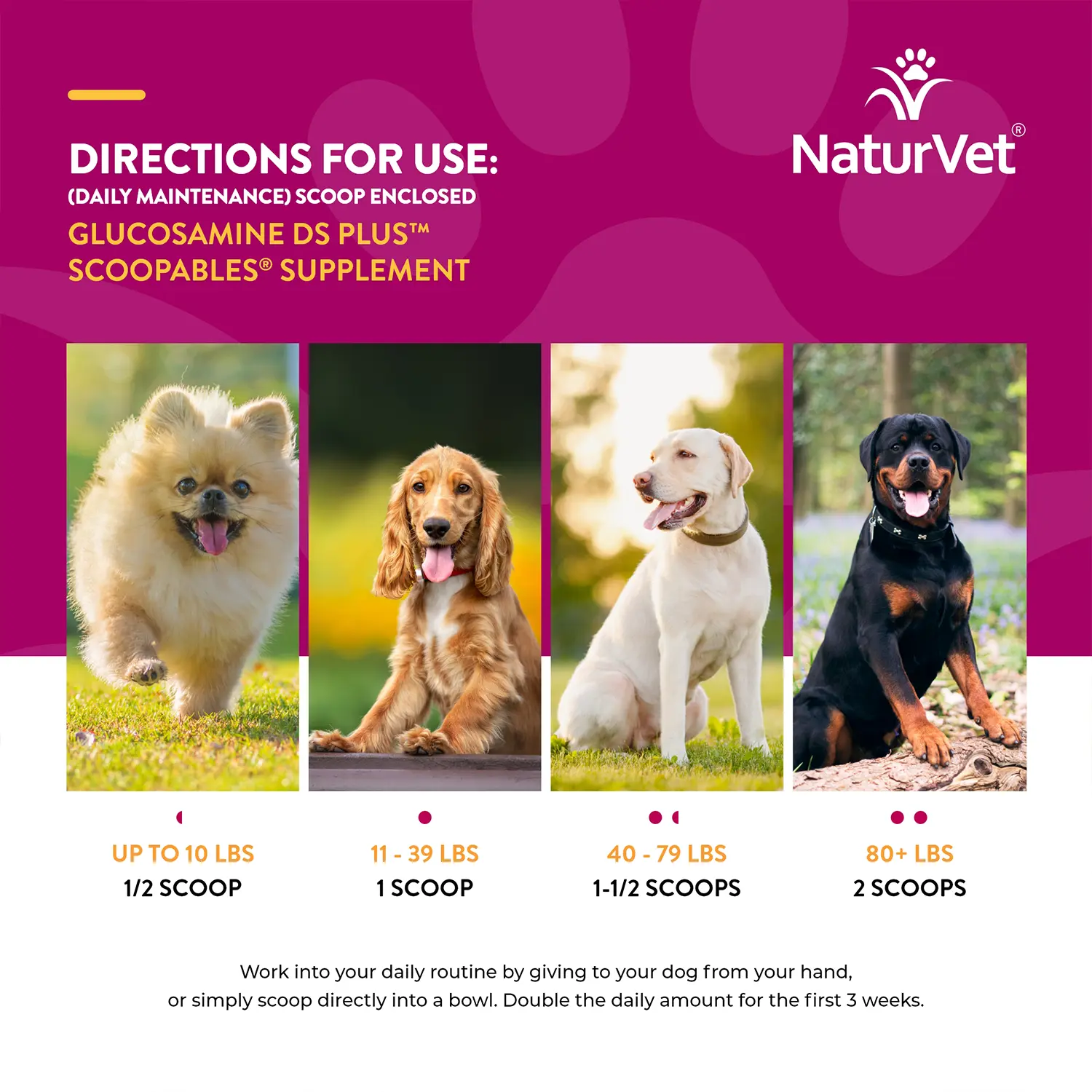 NaturVet Scoopables Glucosamine DS Plus Level 2 Moderate Joint Care Supplement for Dogs 45 Count 11-oz - Image 10