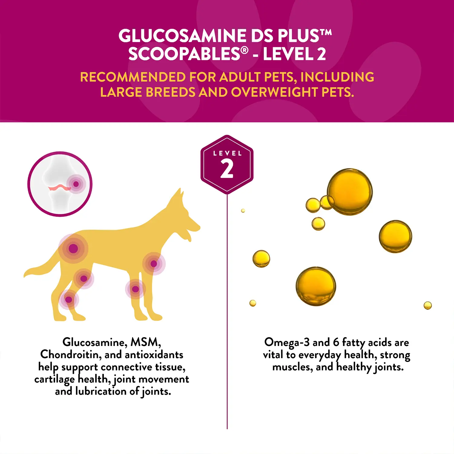 NaturVet Scoopables Glucosamine DS Plus Level 2 Moderate Joint Care Supplement for Dogs 45 Count 11-oz - Image 3