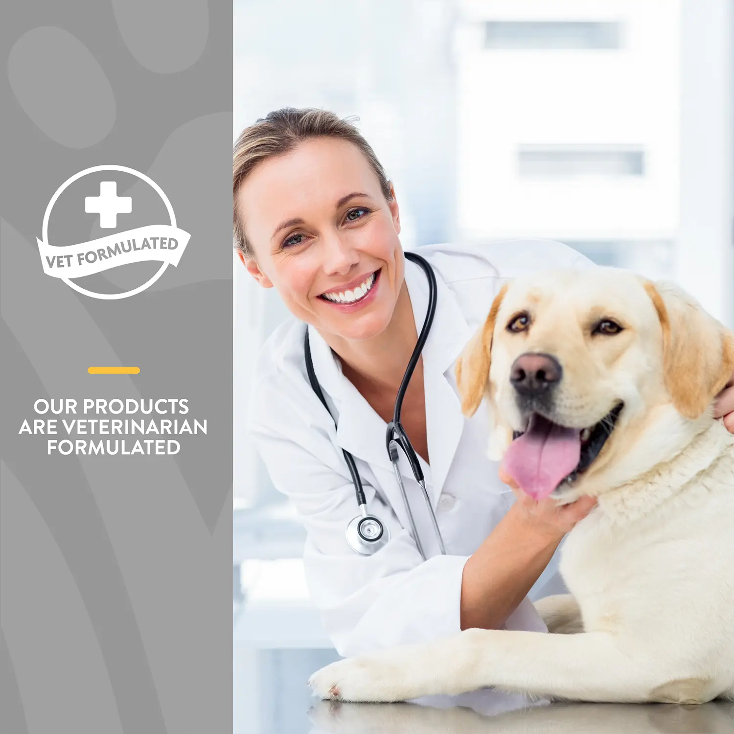 NaturVet Senior Advanced Gum & Breath Dog Soft Chews 45 Count 6.3-oz - Image 5
