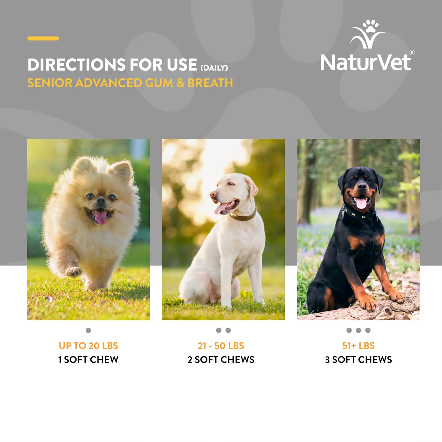 NaturVet Senior Advanced Gum & Breath Dog Soft Chews 45 Count 6.3-oz - Image 8