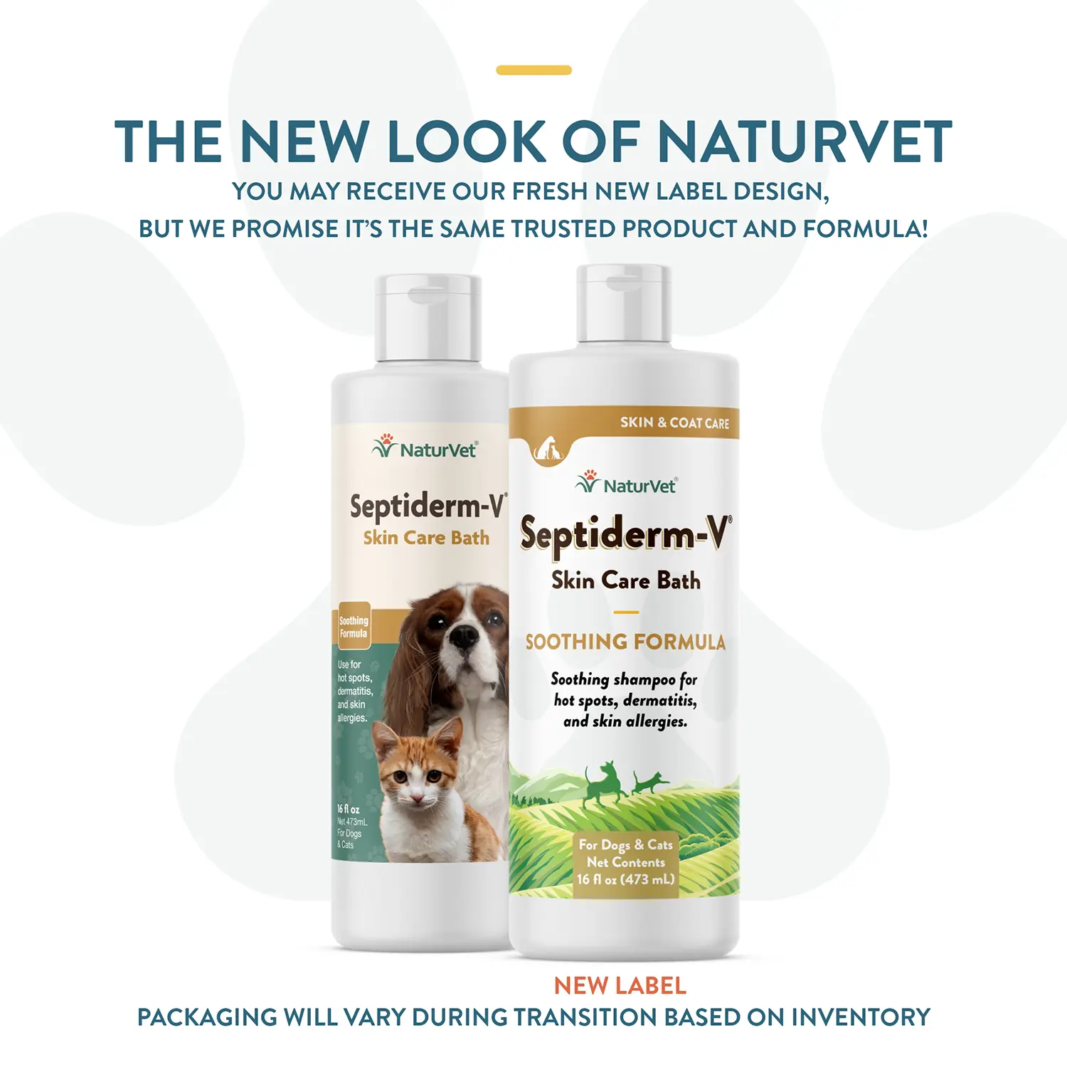 NaturVet Septiderm-V Skin Care Bath Soothing Formula Shampoo for Dogs & Cats 16-oz - Image 2