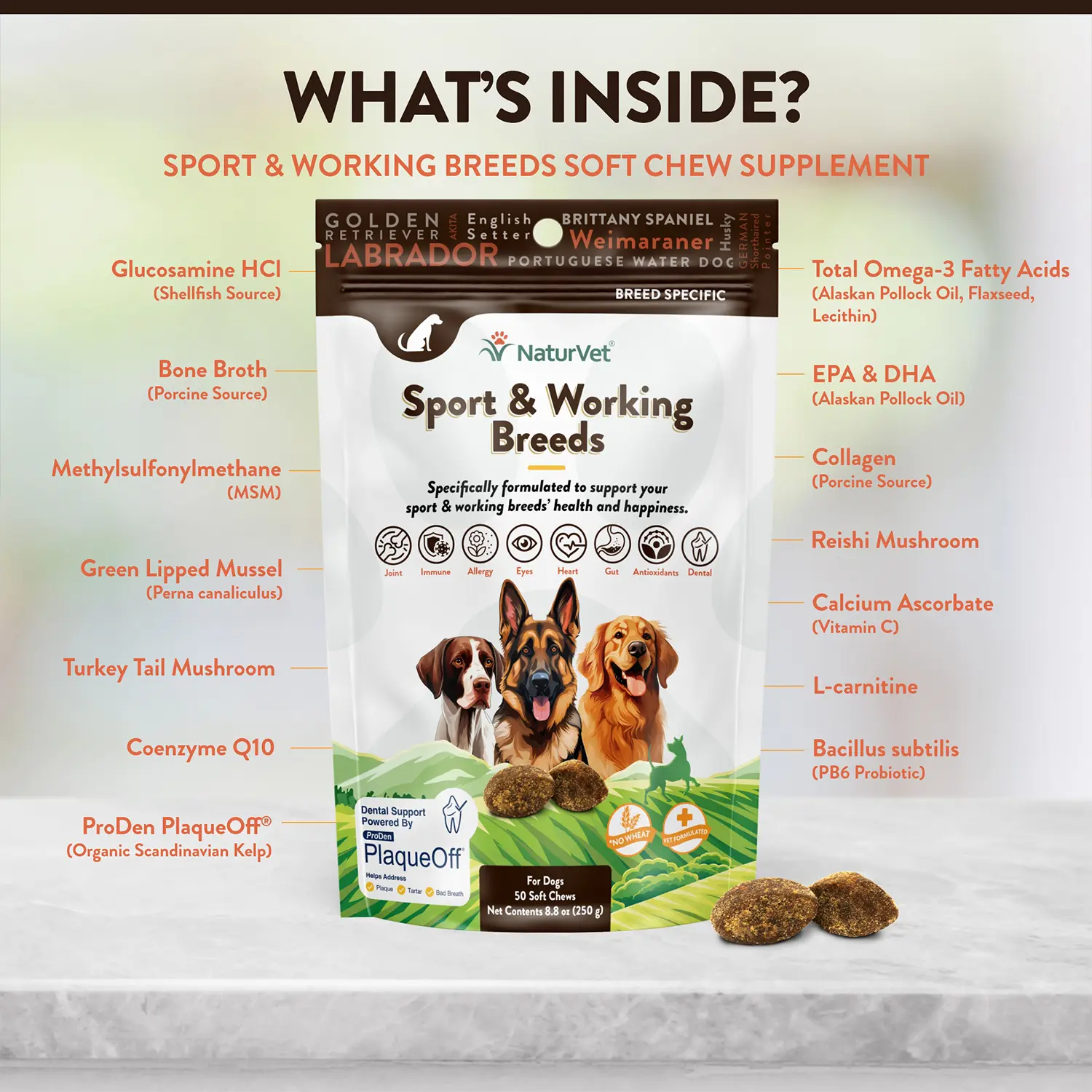 NaturVet Sport & Working Breed-Specific Supplement Soft Chews for Dogs 50 Count 8.8-oz - Image 5