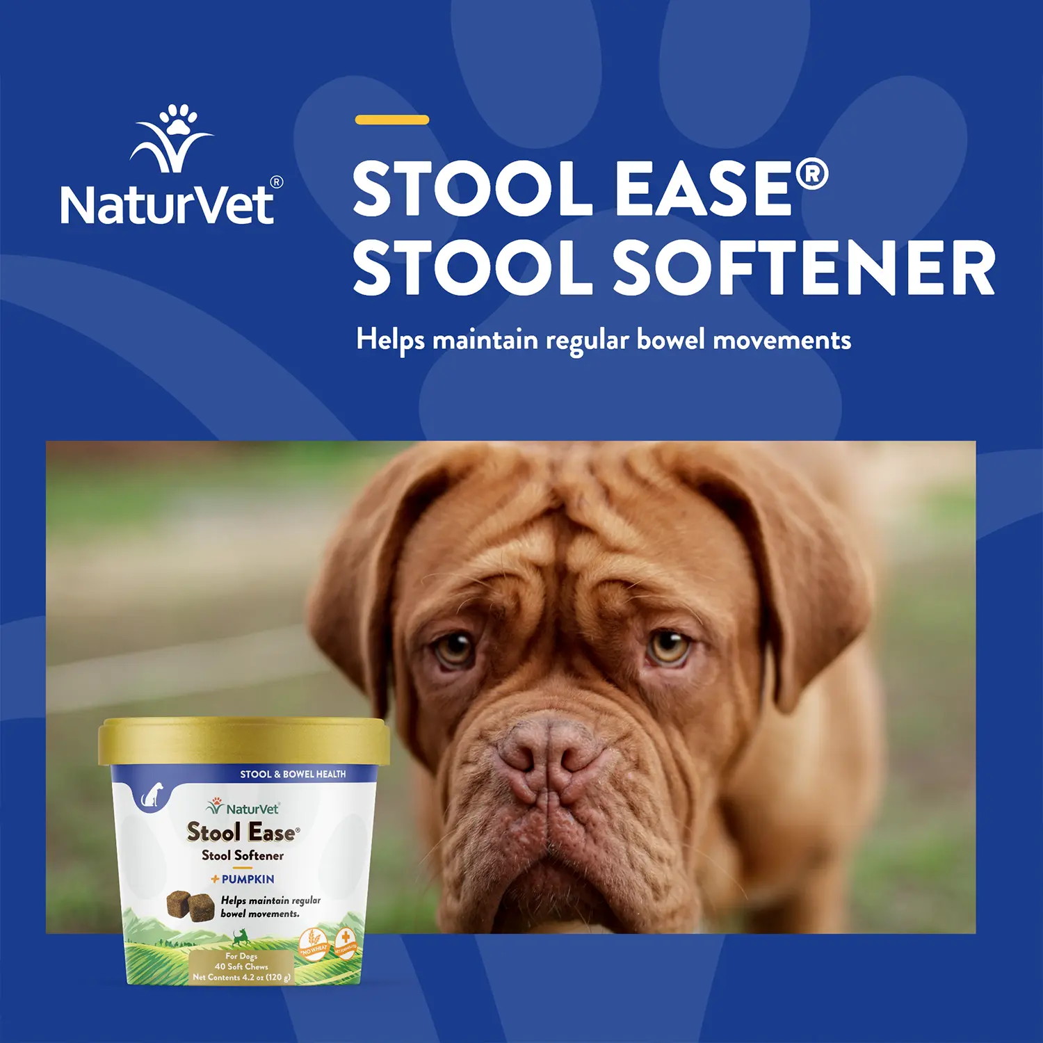 NaturVet Stool Ease Soft Chews for Dogs 40 Count 4.2-oz - Image 3