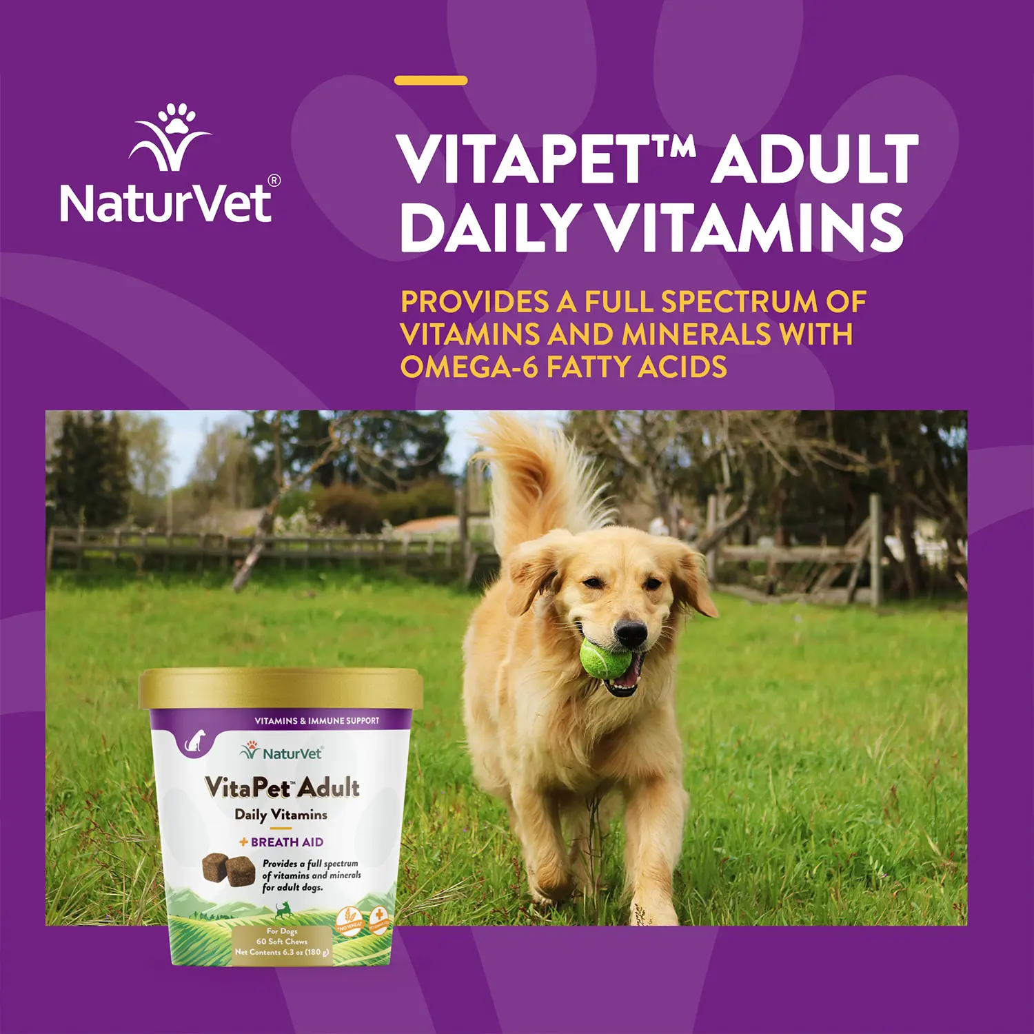 NaturVet VitaPet Adult Daily Vitamins Plus Breath Aid Soft Chews for Dogs 60 Count 6.3-oz - Image 3
