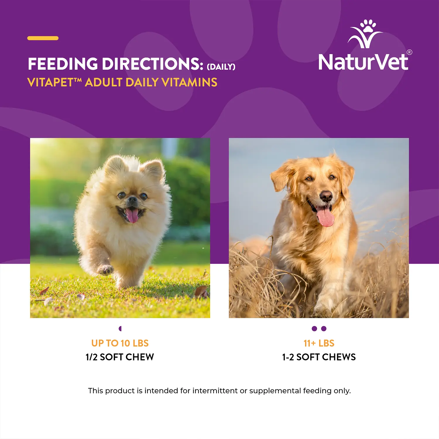 NaturVet VitaPet Adult Daily Vitamins Plus Breath Aid Soft Chews for Dogs 60 Count 6.3-oz - Image 8