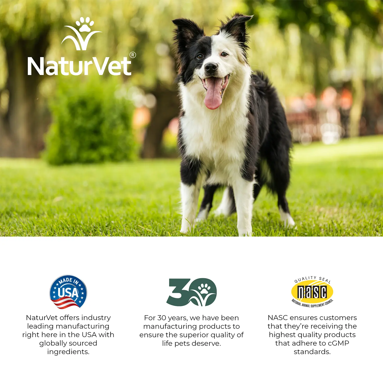 NaturVet VitaPet Adult Daily Vitamins Plus Breath Aid Soft Chews for Dogs 60 Count 6.3-oz - Image 9