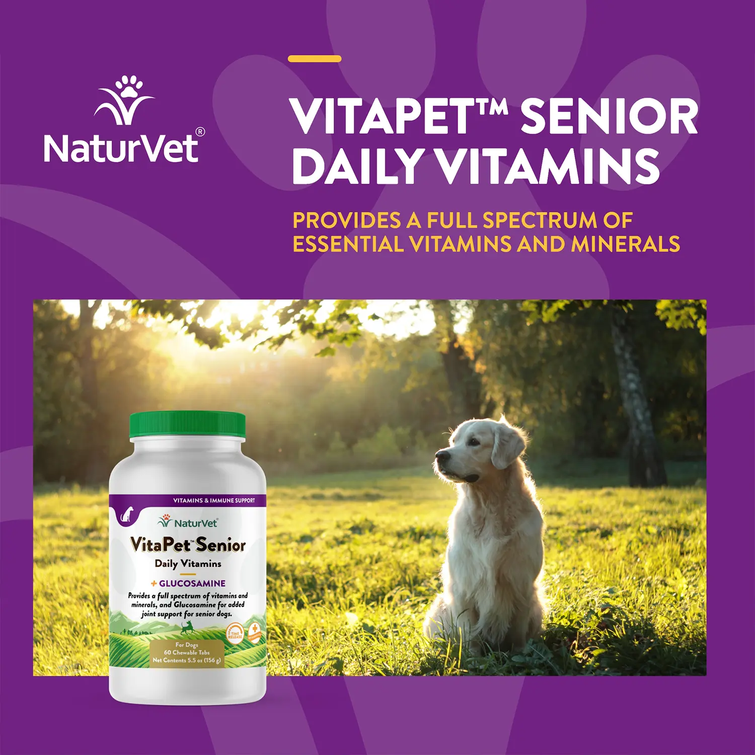 NaturVet VitaPet Senior Daily Vitamins Plus Glucosamine Chewable Tablets for Dogs 60 Count 5.5-oz - Image 3