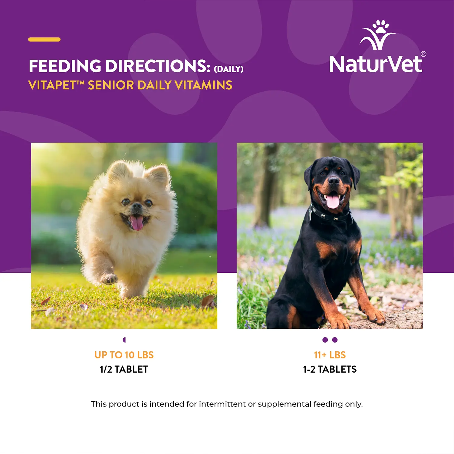 NaturVet VitaPet Senior Daily Vitamins Plus Glucosamine Chewable Tablets for Dogs 60 Count 5.5-oz - Image 8