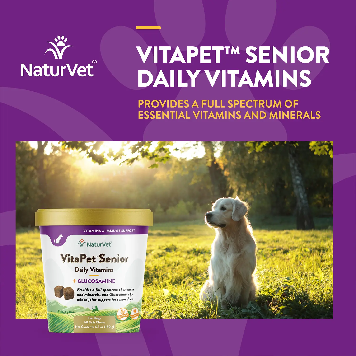NaturVet VitaPet Senior Daily Vitamins Plus Glucosamine Soft Chews for Dogs 60 Count 6.3-oz - Image 3