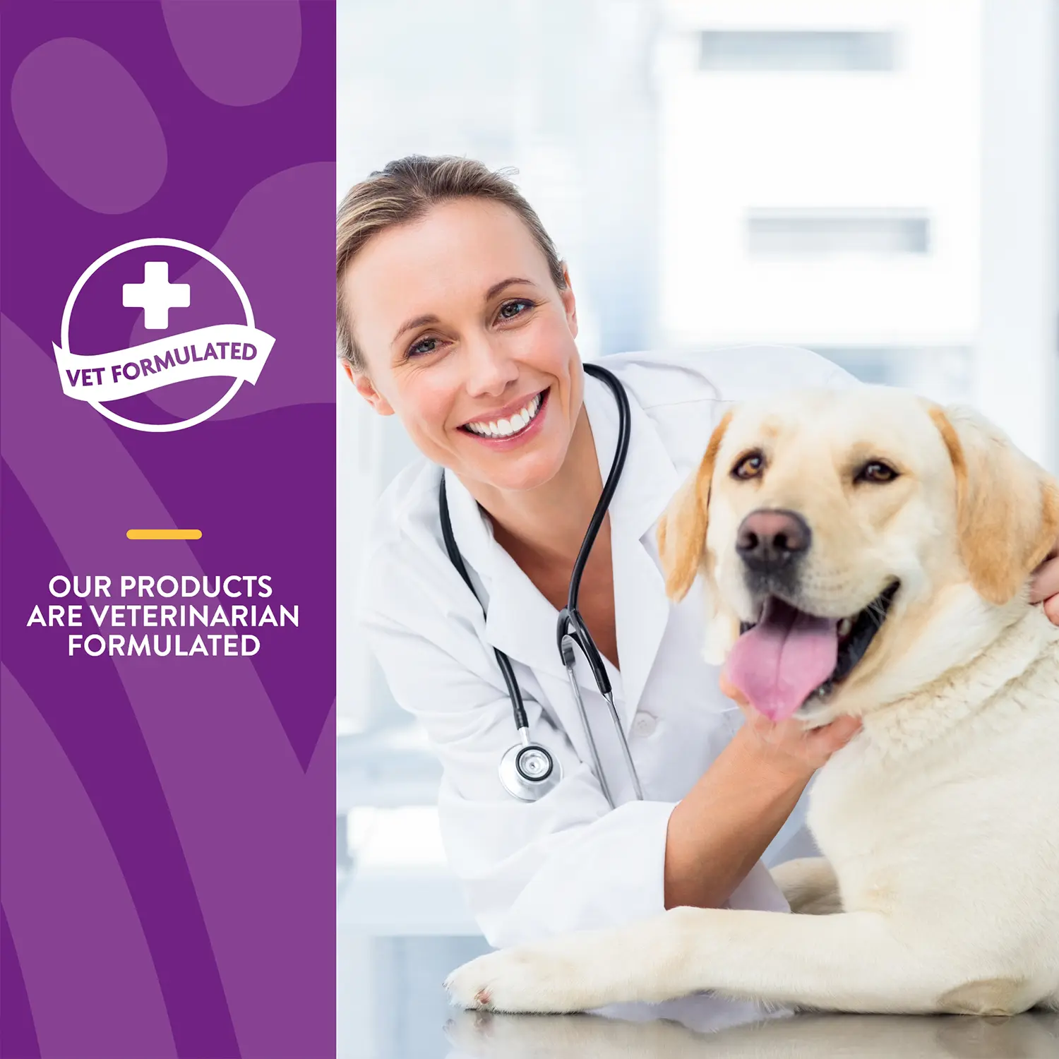 NaturVet VitaPet Senior Daily Vitamins Plus Glucosamine Soft Chews for Dogs 60 Count 6.3-oz - Image 5