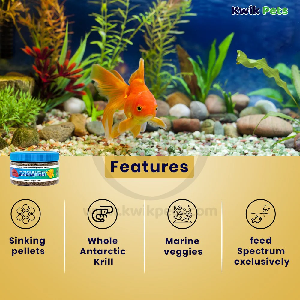 New Life Spectrum Marine Pellets Fish Food Regular 2.8-oz - Image 2