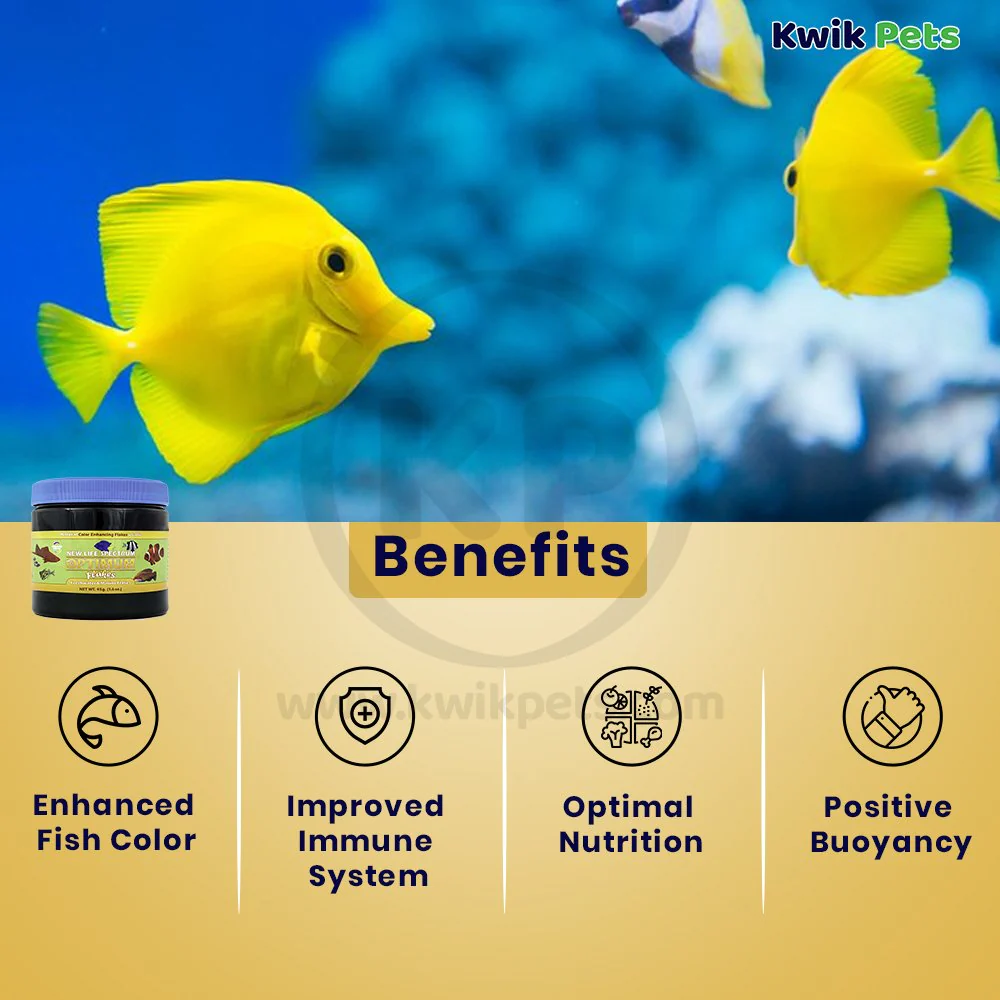 New Life Spectrum Optimum Flakes Fish Food 1.6-oz - Image 3
