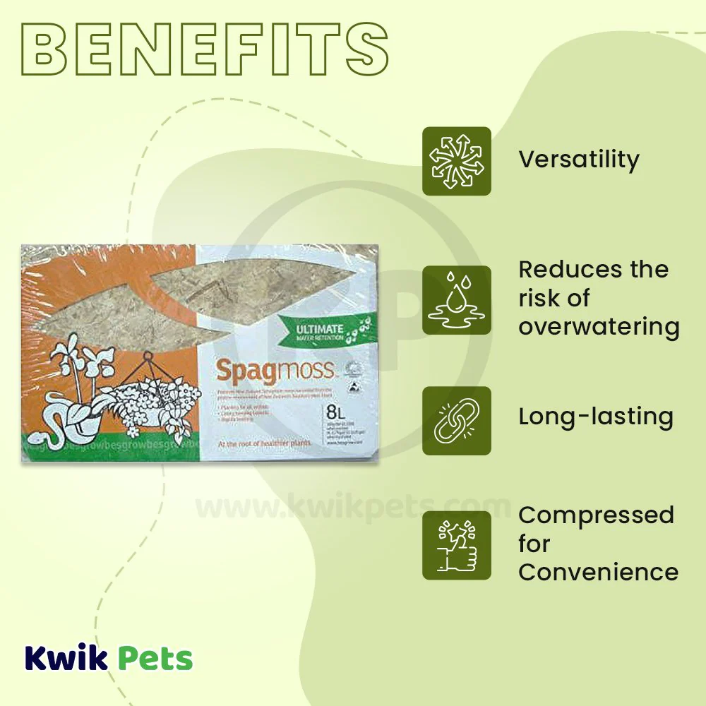 New Zealand Spagmoss 100gm - Image 3
