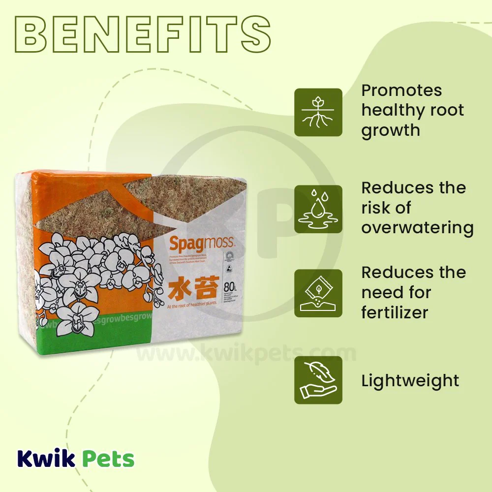 New Zealand Spagmoss 1Kg - Image 4